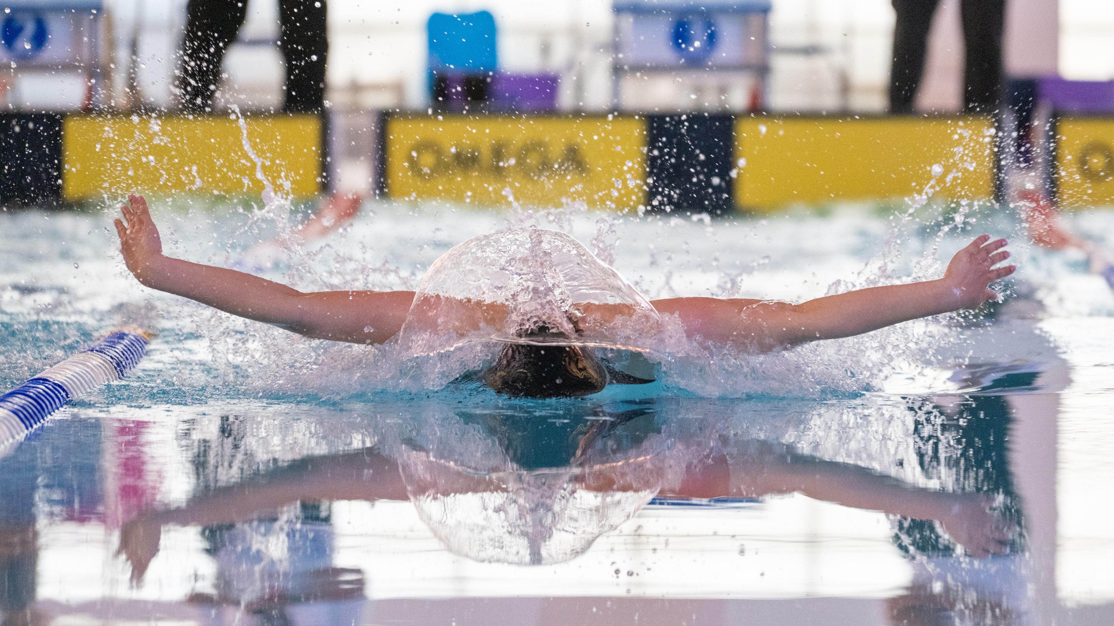 Neach a' snàmh aig Geamannan nan Eilean