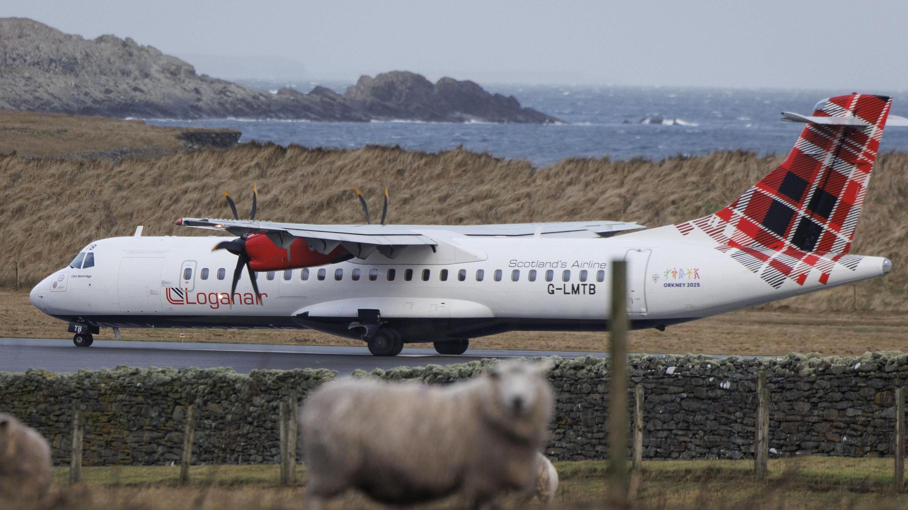 A Loganair plane on an airport runway. Two sheep in a nearby field are in the foreground. The sea and coast are in the background.
