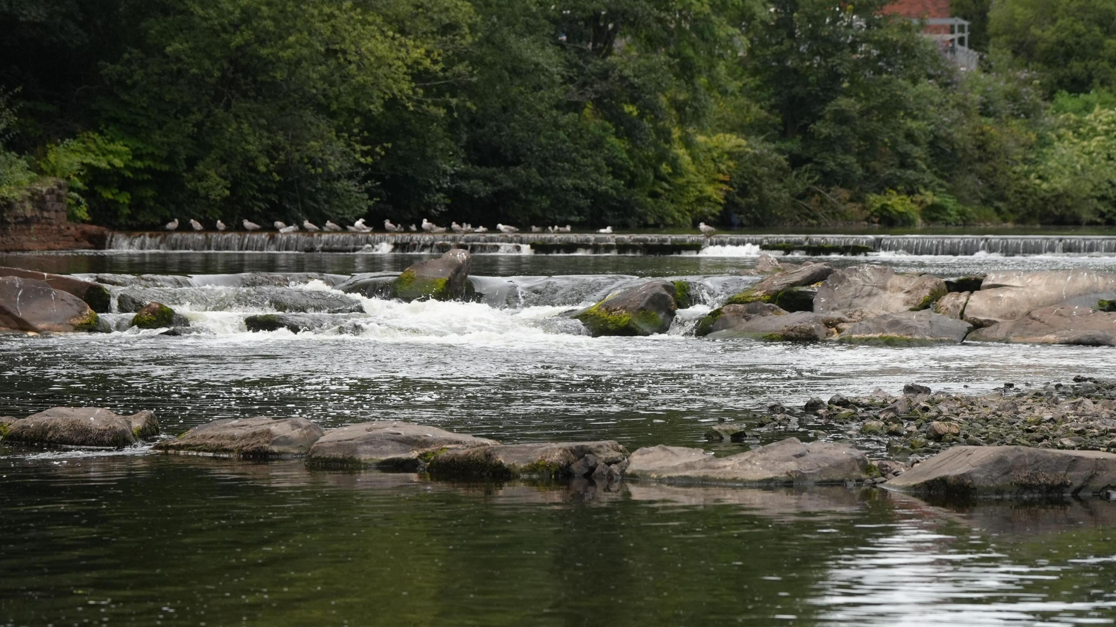 Afon Tawe