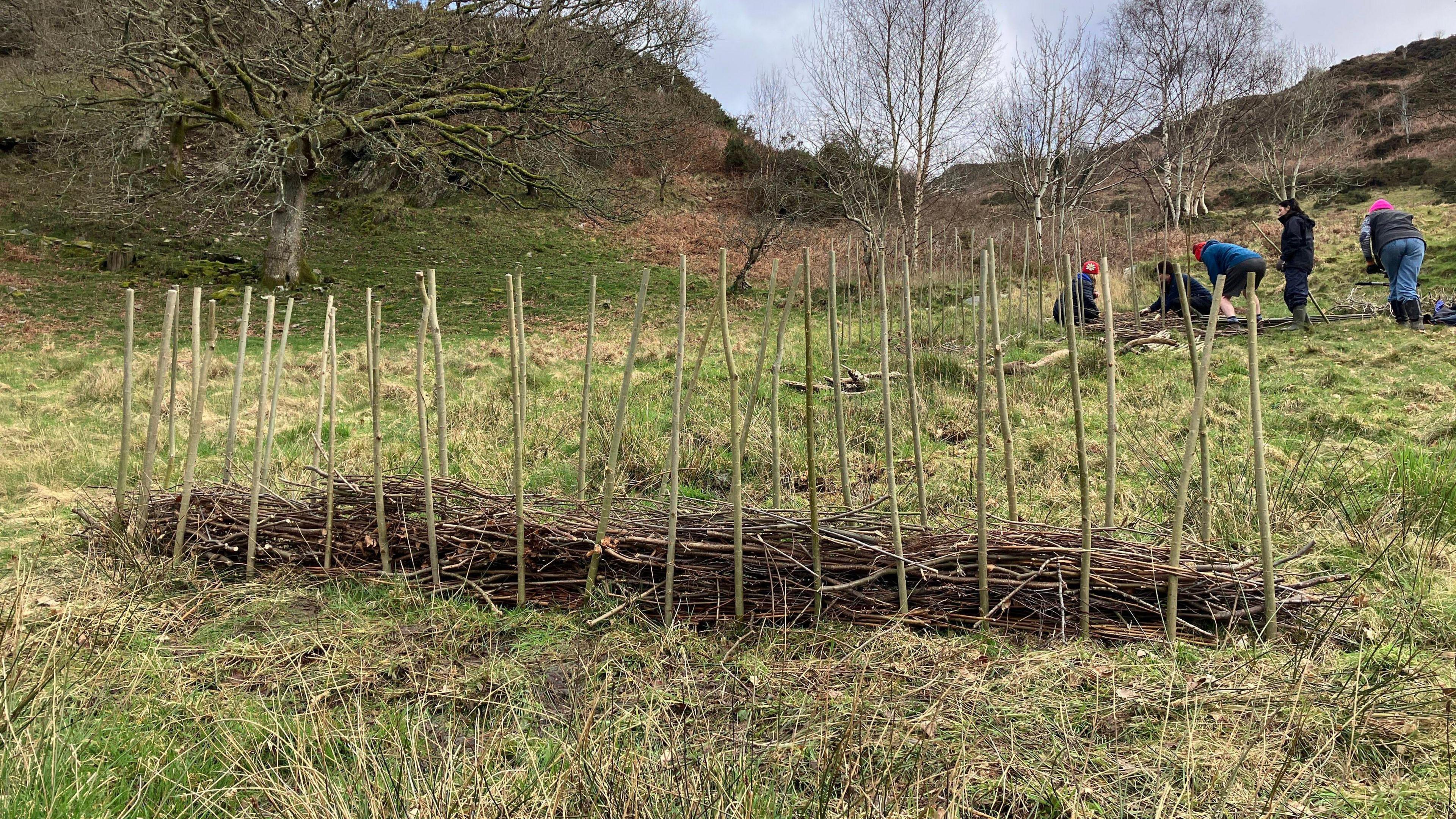 Llun o argae mae'r gwirfoddolwyr wedi'i greu mewn cae ger Tal-y-bont. Yn y cefndir mae rhai gwirfoddolwyr yn gweithio ar argae arall