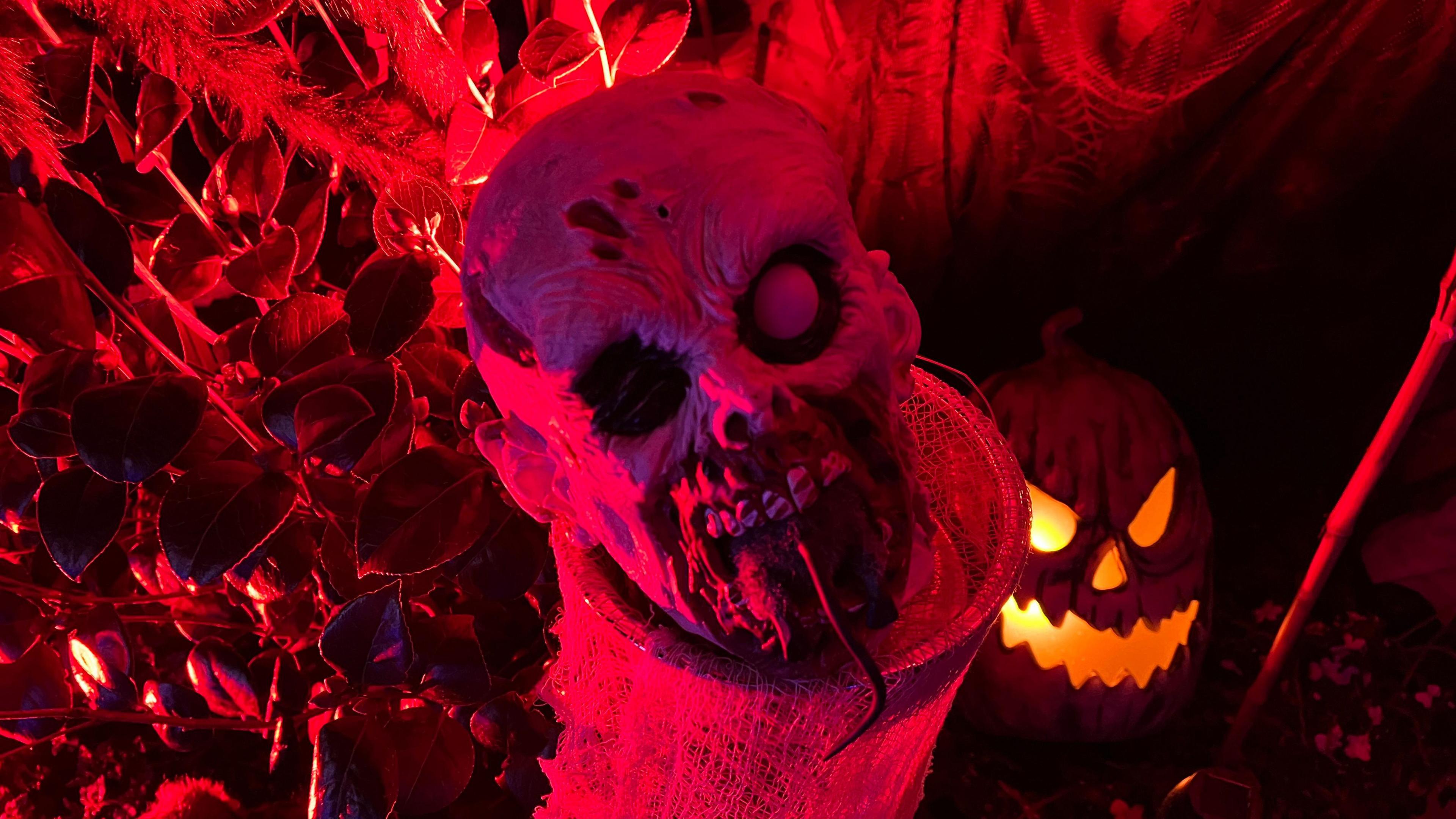 A ghoulish face with a lost eyeball, pockmarked skin and a worm like creature coming out the mouth