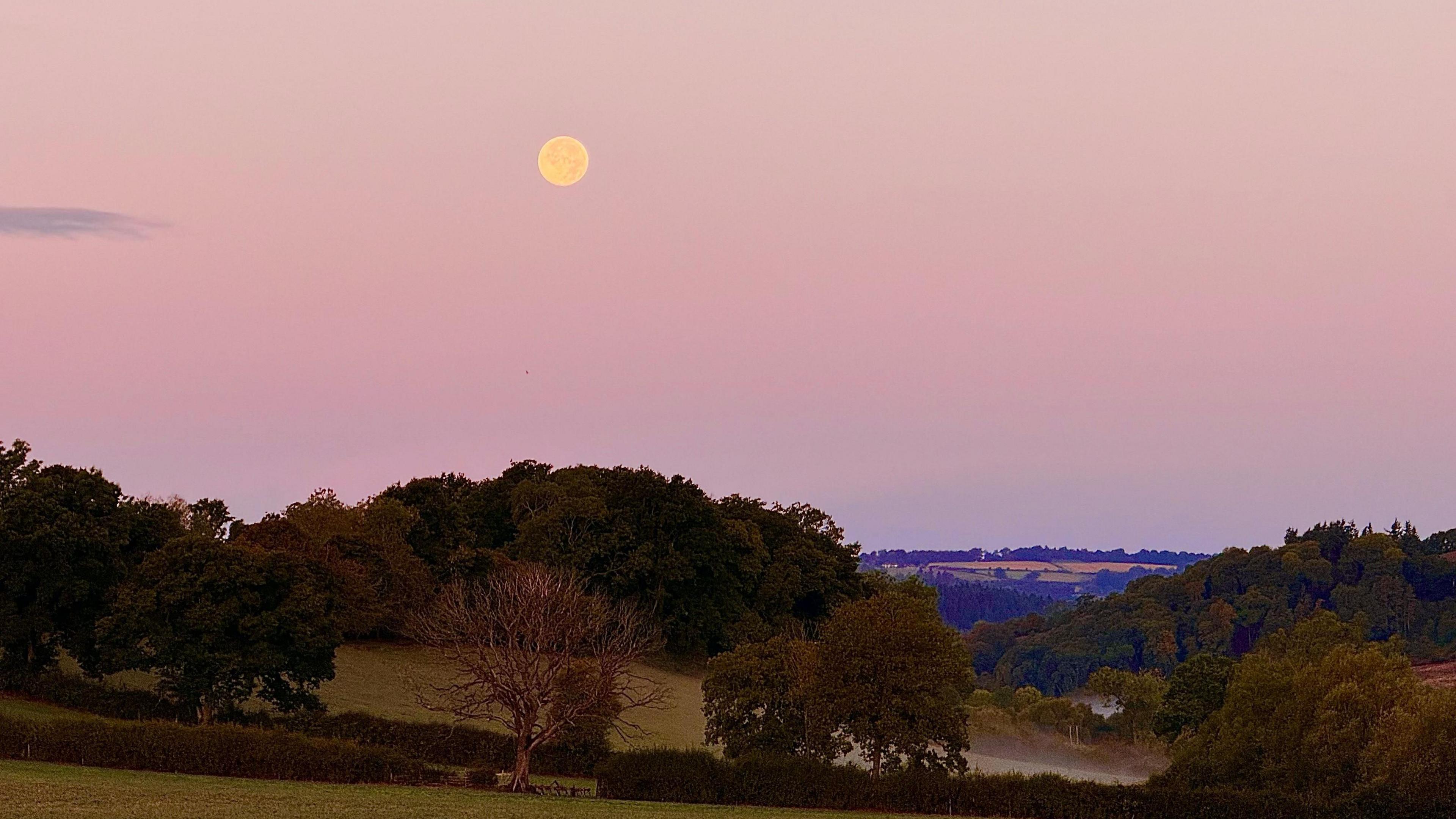 Trees and fields are seen in the bottom section of the photograph with an orange moon seen above surrounded by pink sky.