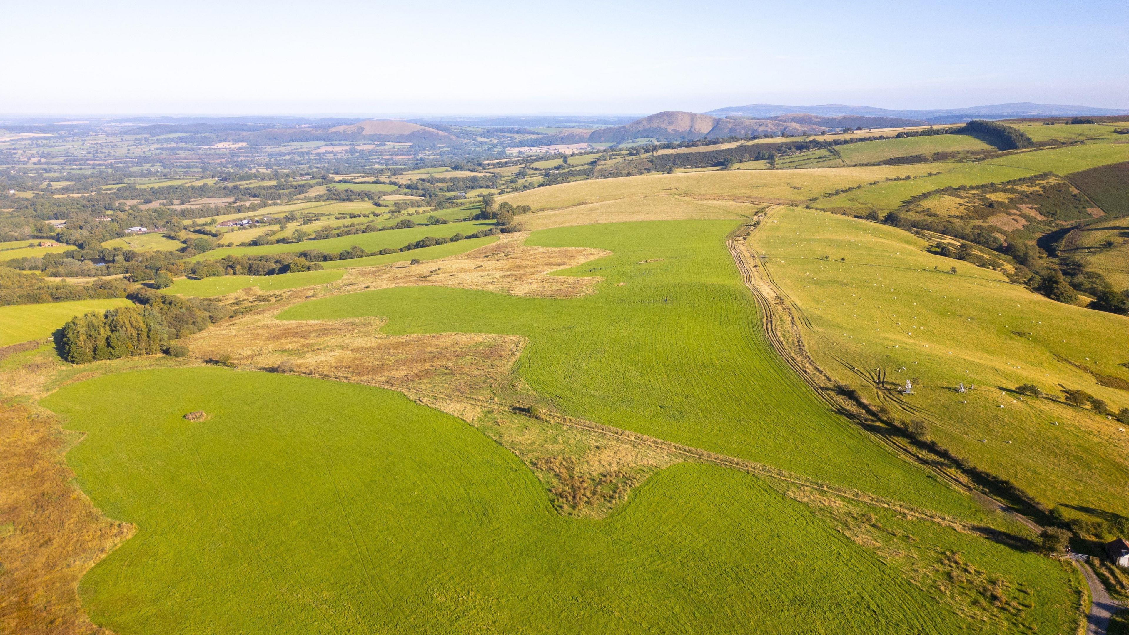 A drone image of a large piece of land. It is mainly green fields but also has a road running through it, as well as brown patches where there is marsh and long grass.