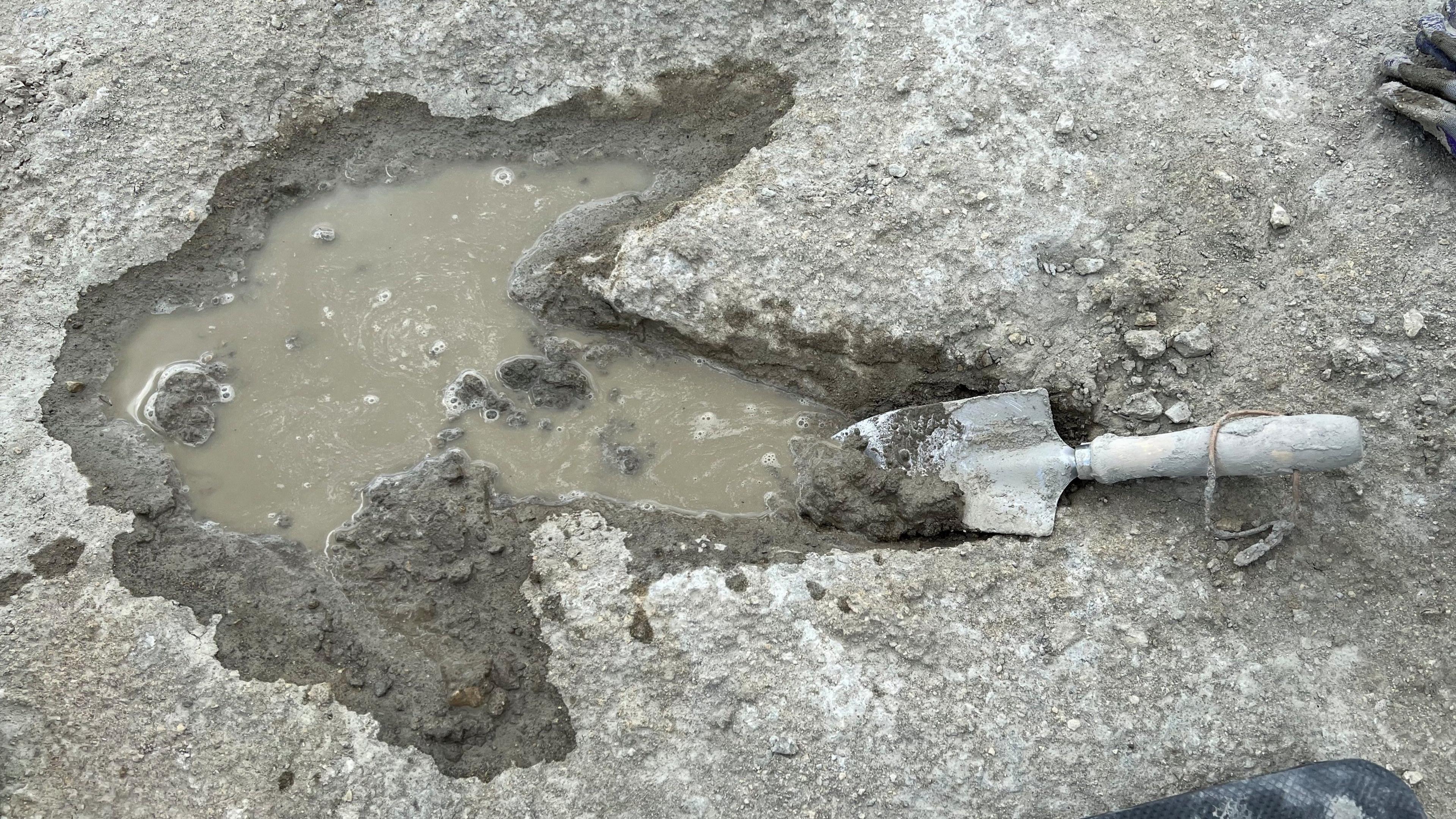 Dinosaur footprint in a quarry 