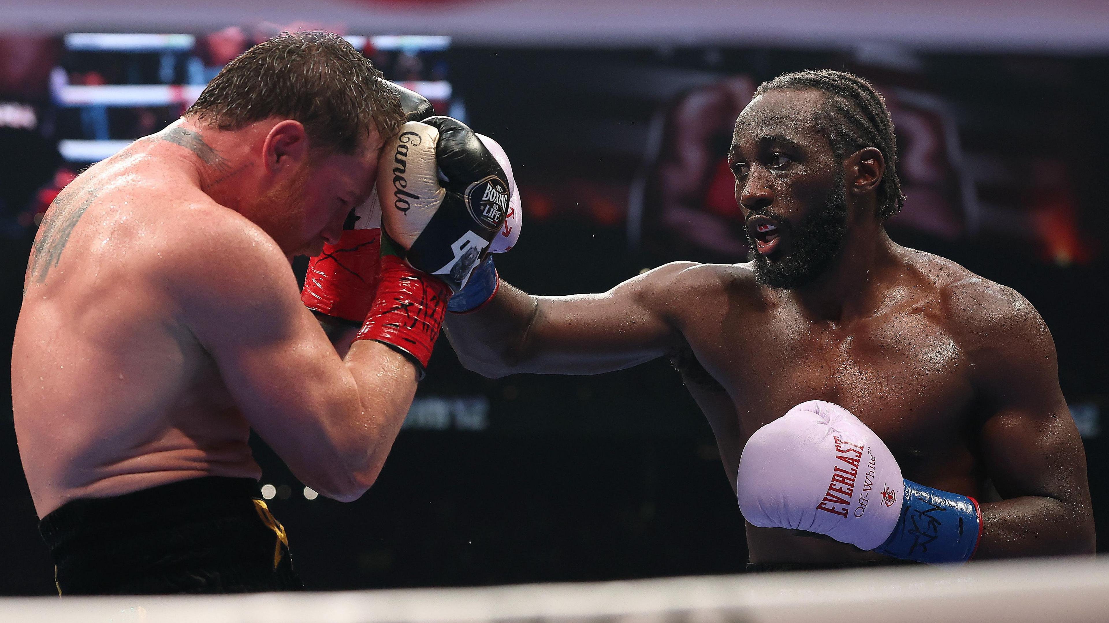 Terence Crawford during his win against beat Saul 'Canelo' Alvarez
