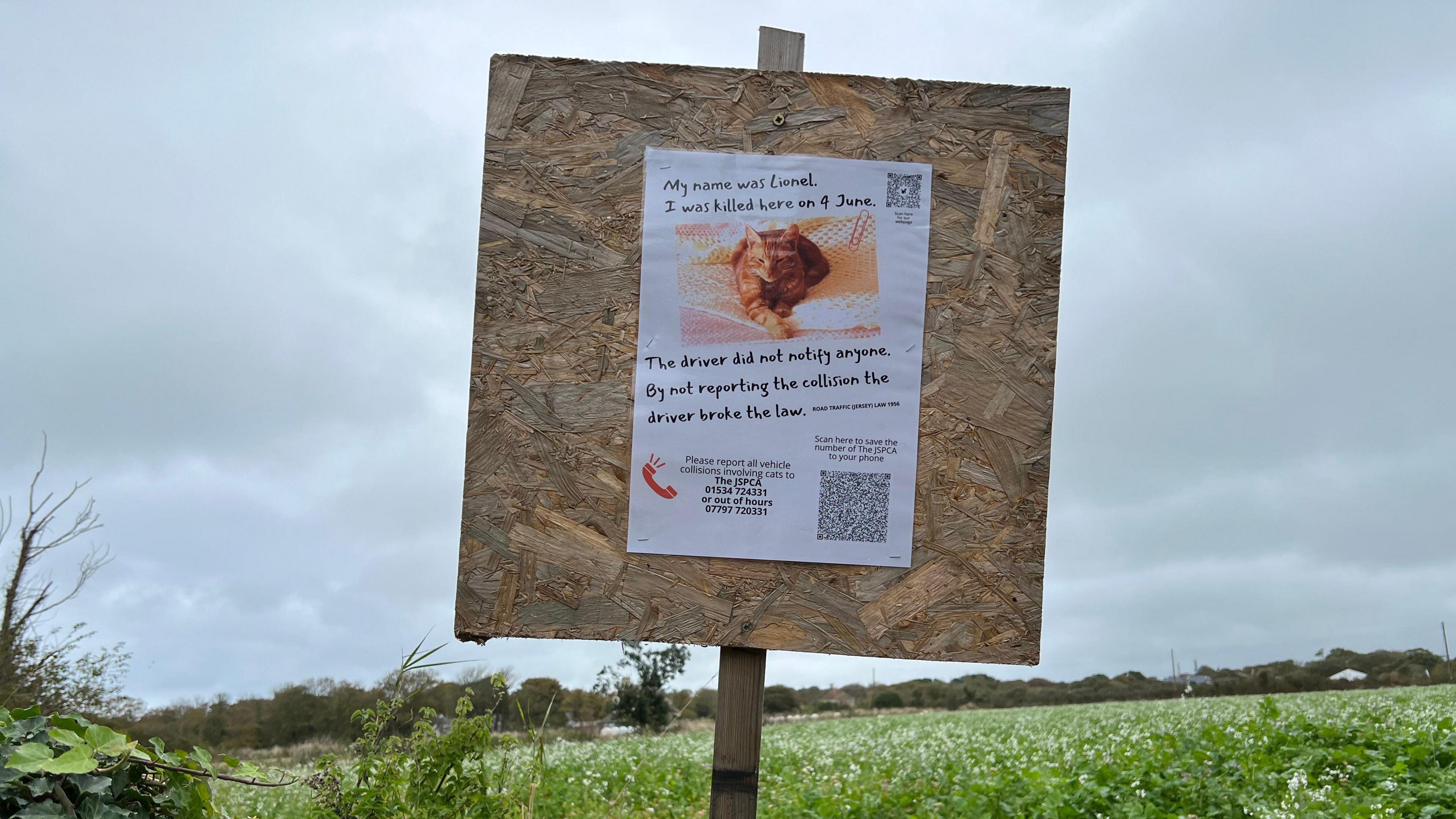 A white poster with black writing and picture of a ginger cat. It's on a wooden stand in a green field.