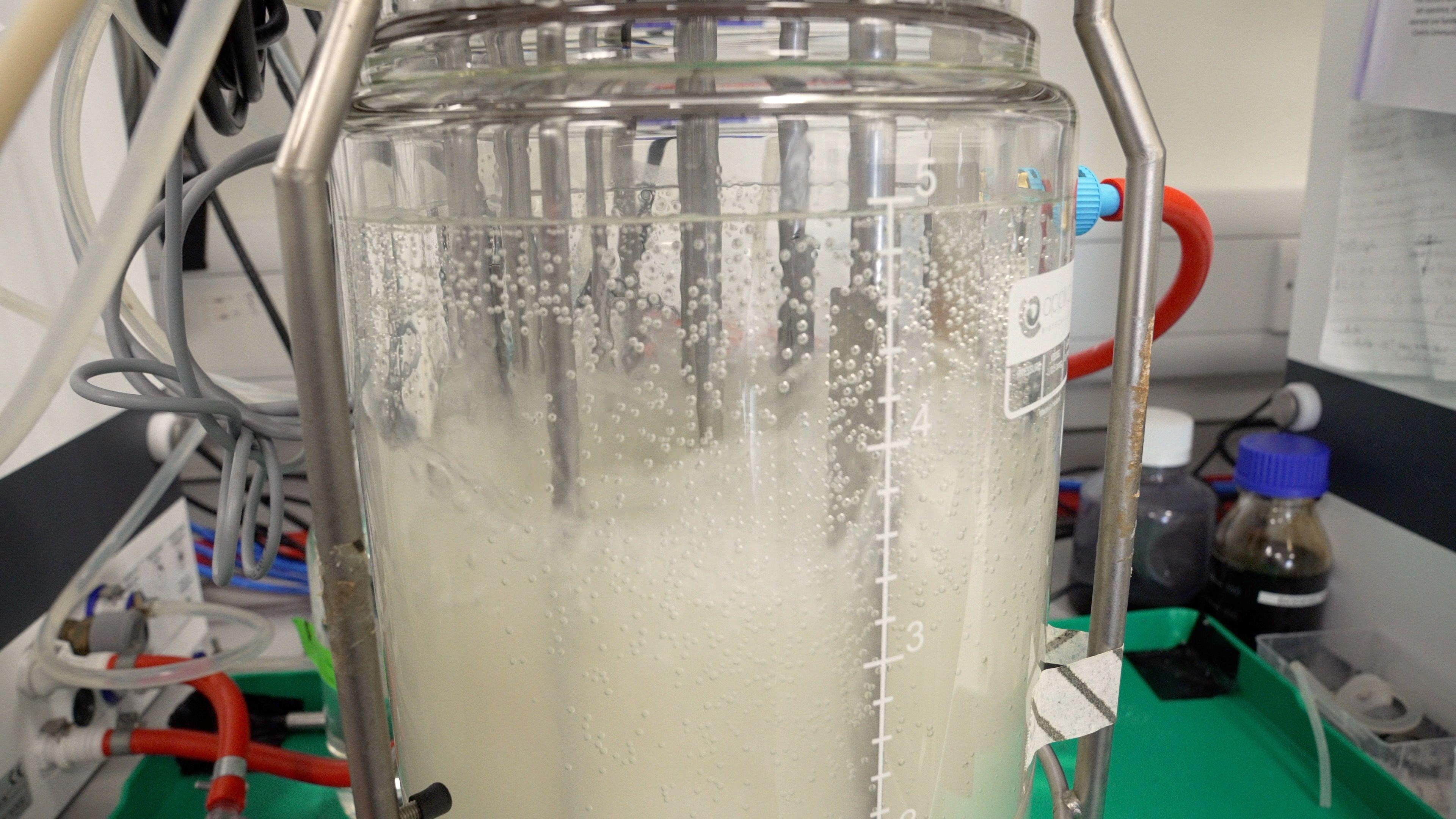 A covered jar with white-coloured liquid bubbling way. Small tubes and wires can be seen coming out of it.