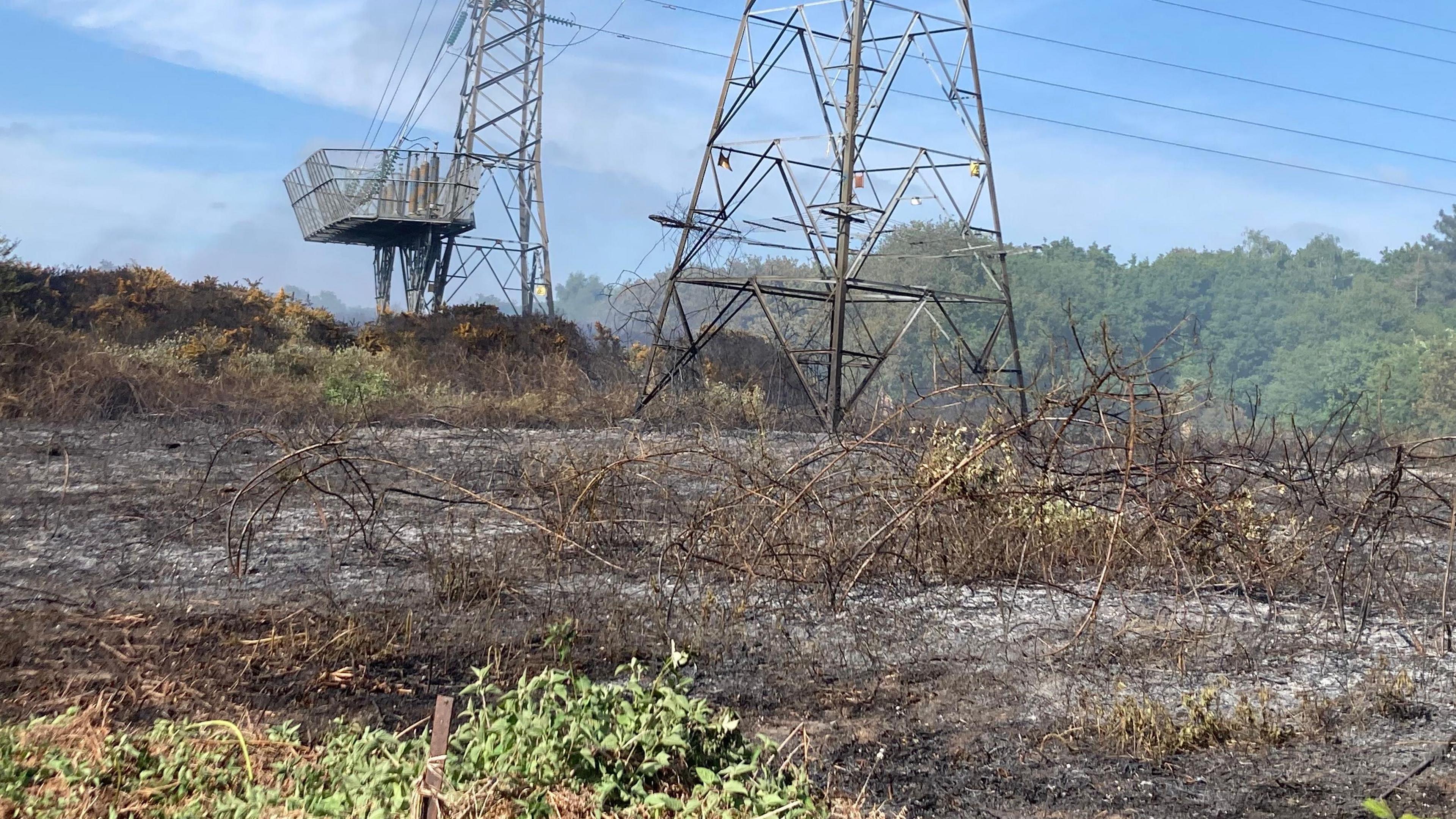 Damage from a wild fire shows scorched earth in a field with electricity pylons