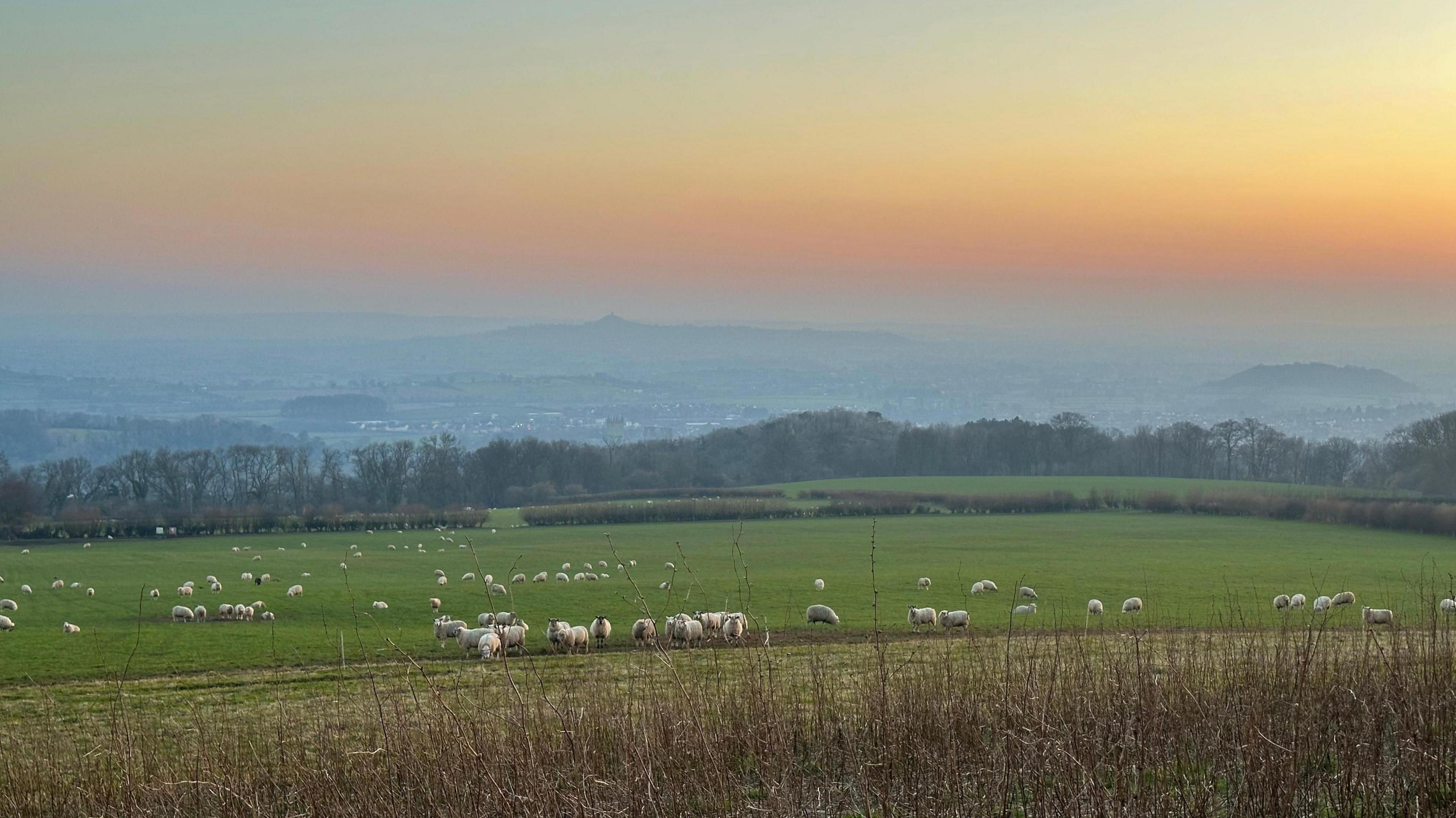 View over Wells from the top of a hill. There's sheep grazing on the green grass on the hill. THe sun is coming up behind them.