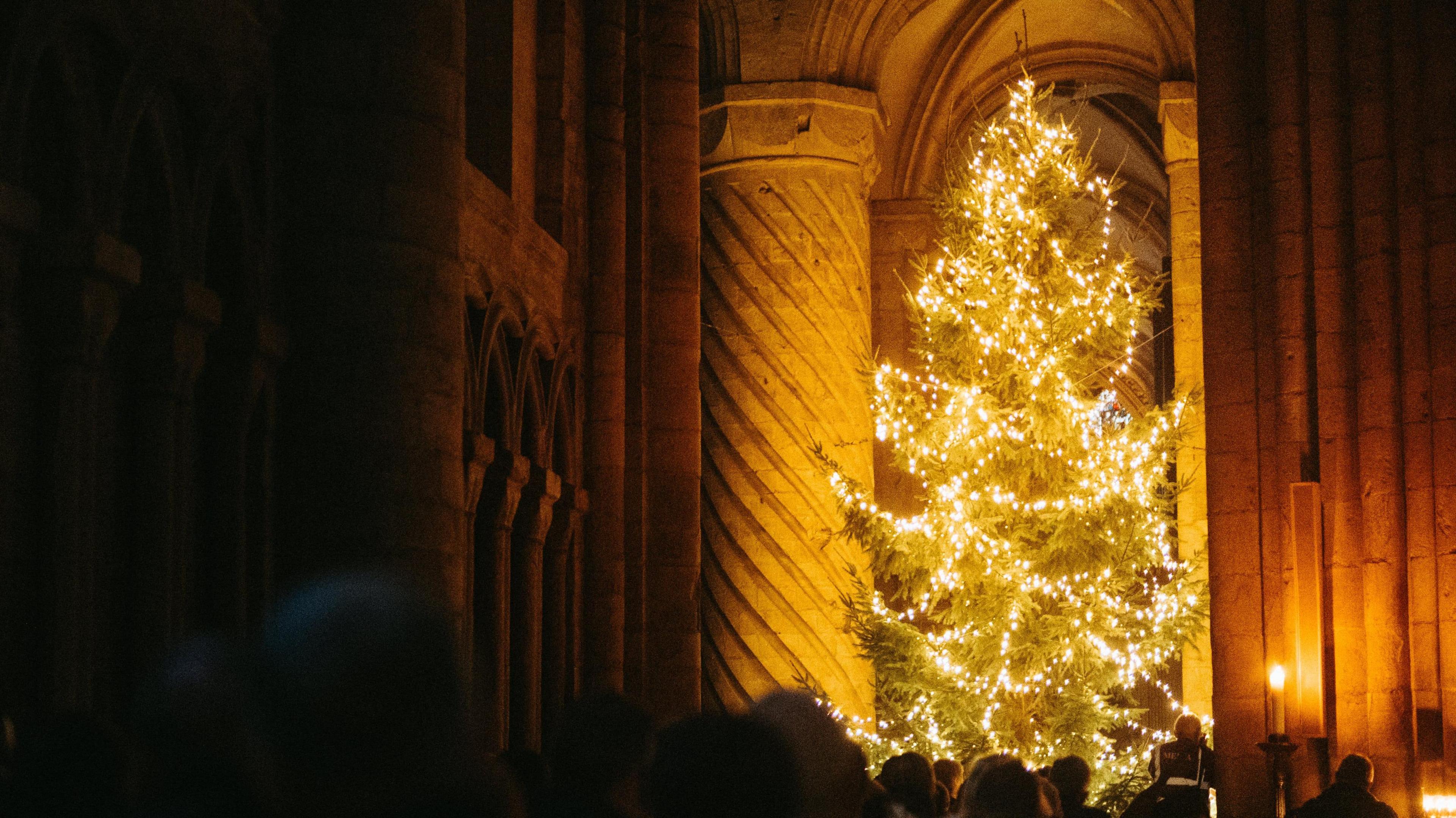 A large Chistmas tree lit by yellow lights standing beneath an arch inside the cathedral. Heads of people can be seen in looking at the tree.