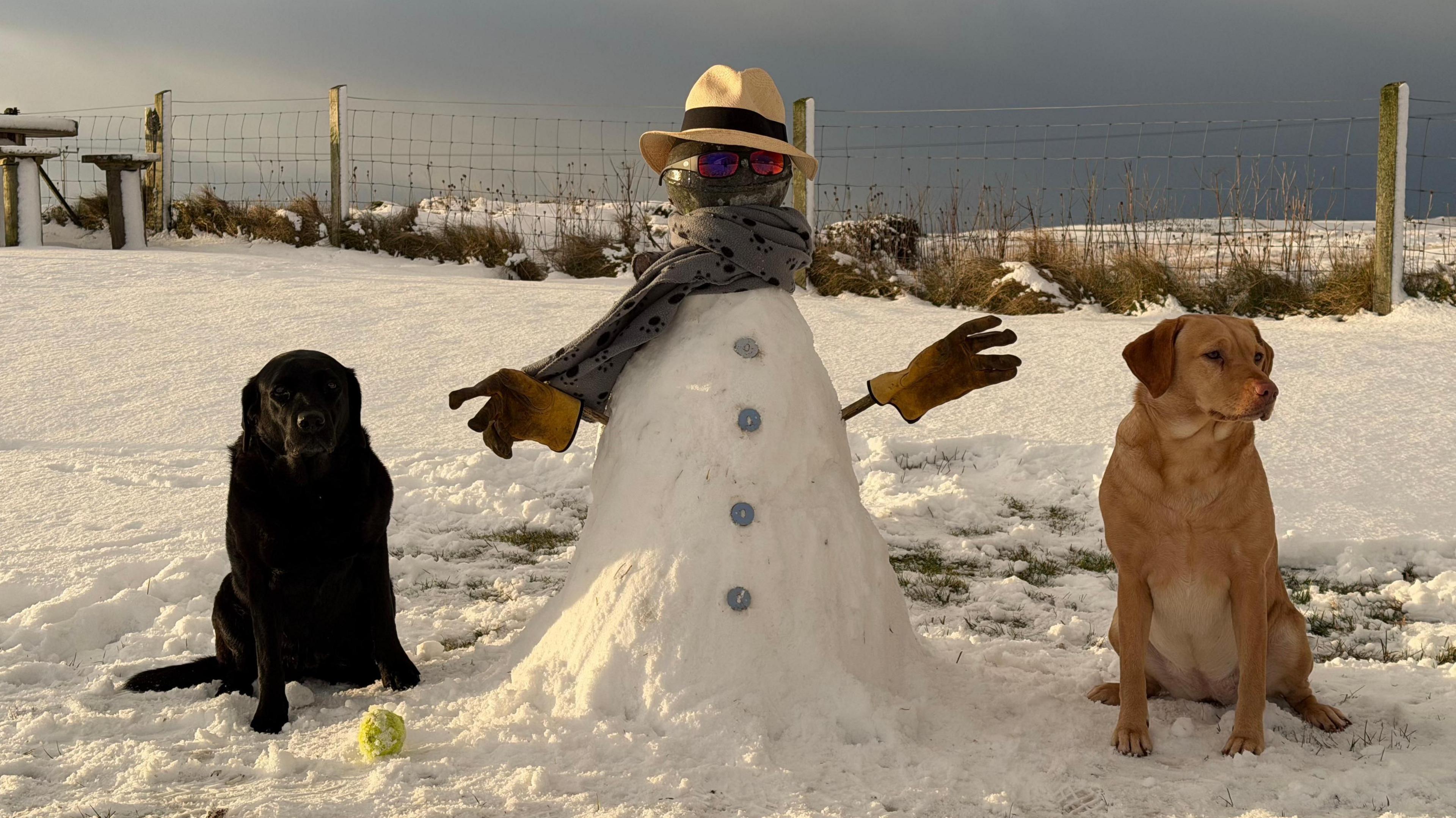 Two dogs sit at either side of a snowman, a tennis ball on the ground next to them