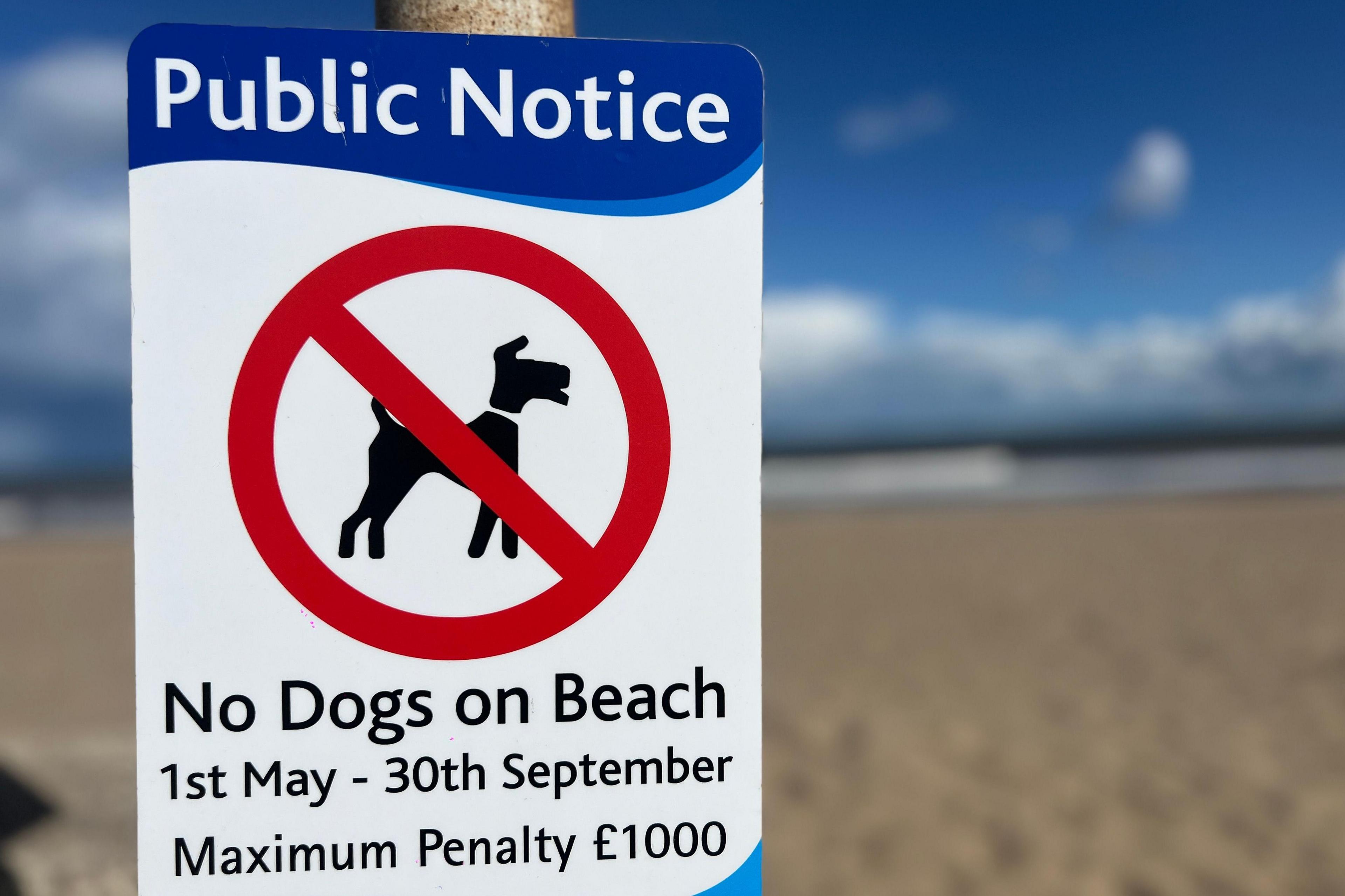 A public notice sign on a lamppost at a beach in Sutton on Sea. It reads:  "Public notice, no dogs on beach, 1st May - 30th September, maximum penalty £1,000." 