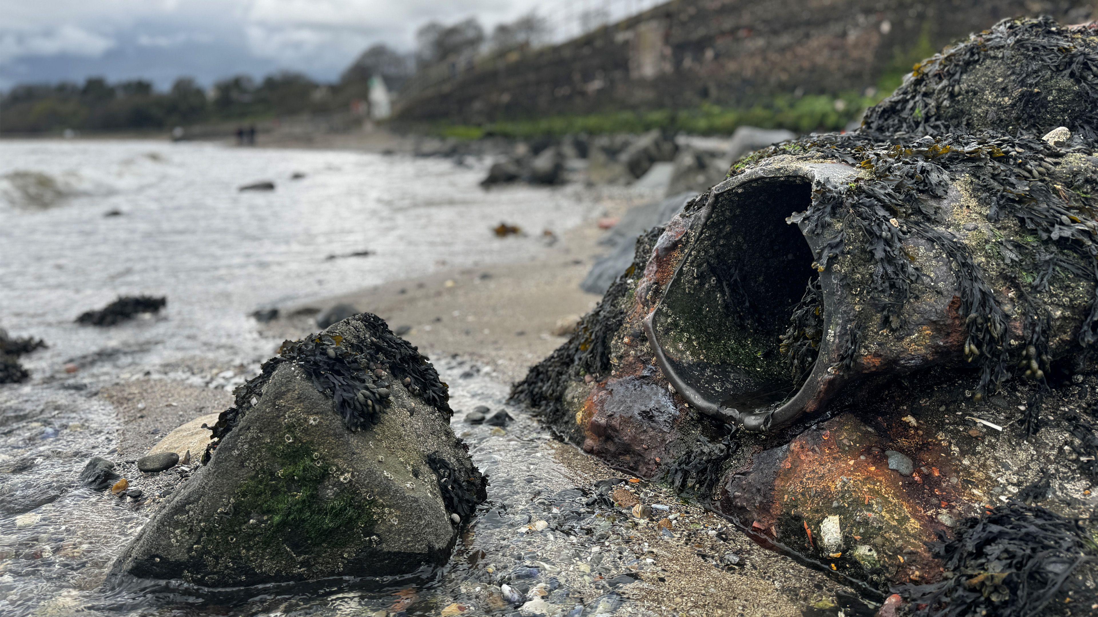 A broken pipe covered in seaweed and rust lays across an open beach with lots of small rocks and pepples in front of it. Water from the sea is almost reaching the pipe, broken only with a small line of sand. Another boulder is poking out of the water, again covered in seaweed and barnacles. A large sea wall and a couple walking in dark clothing are out of focus in the background. 