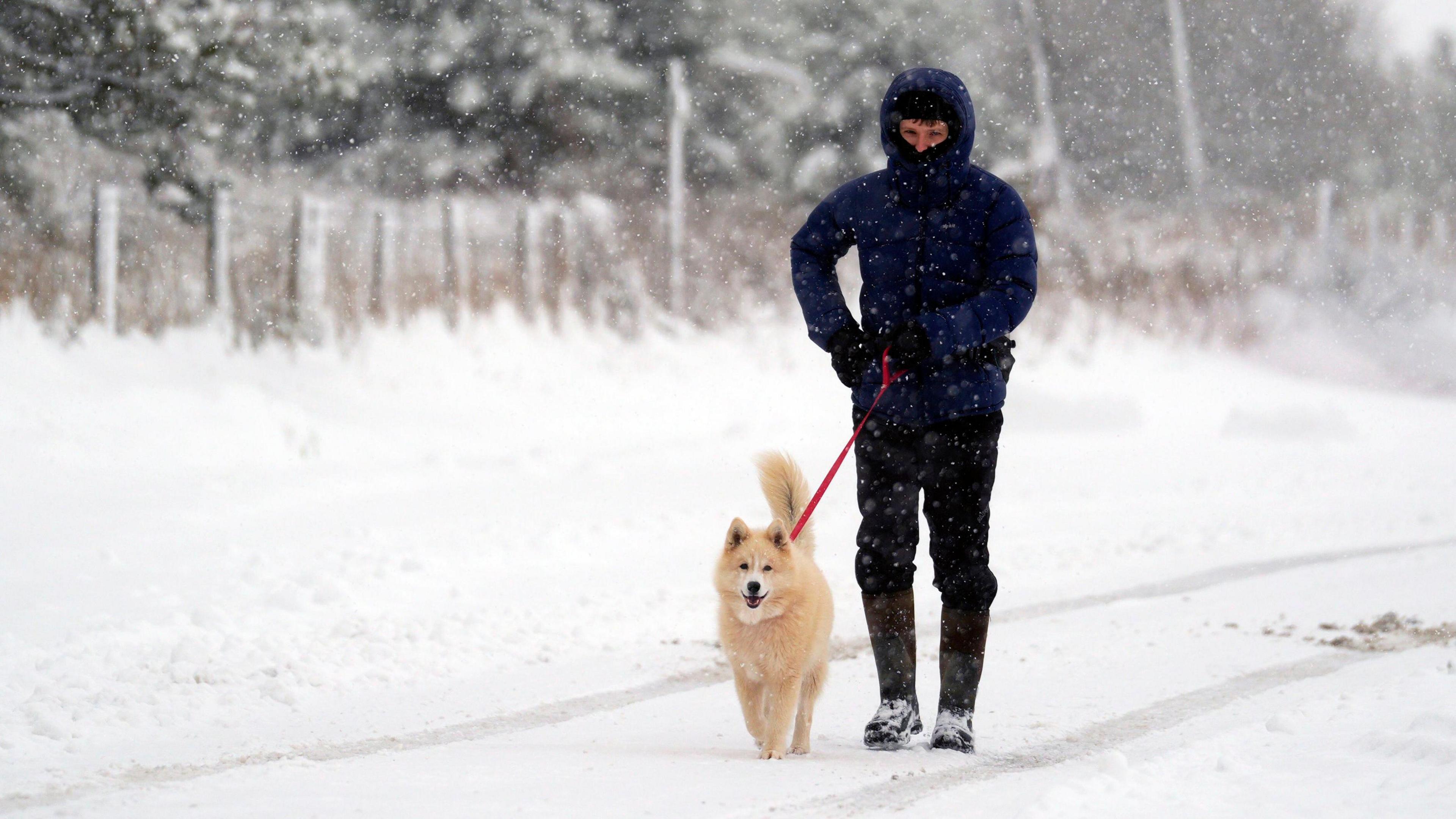 A person walking their dog in the snow on the North York Moors.