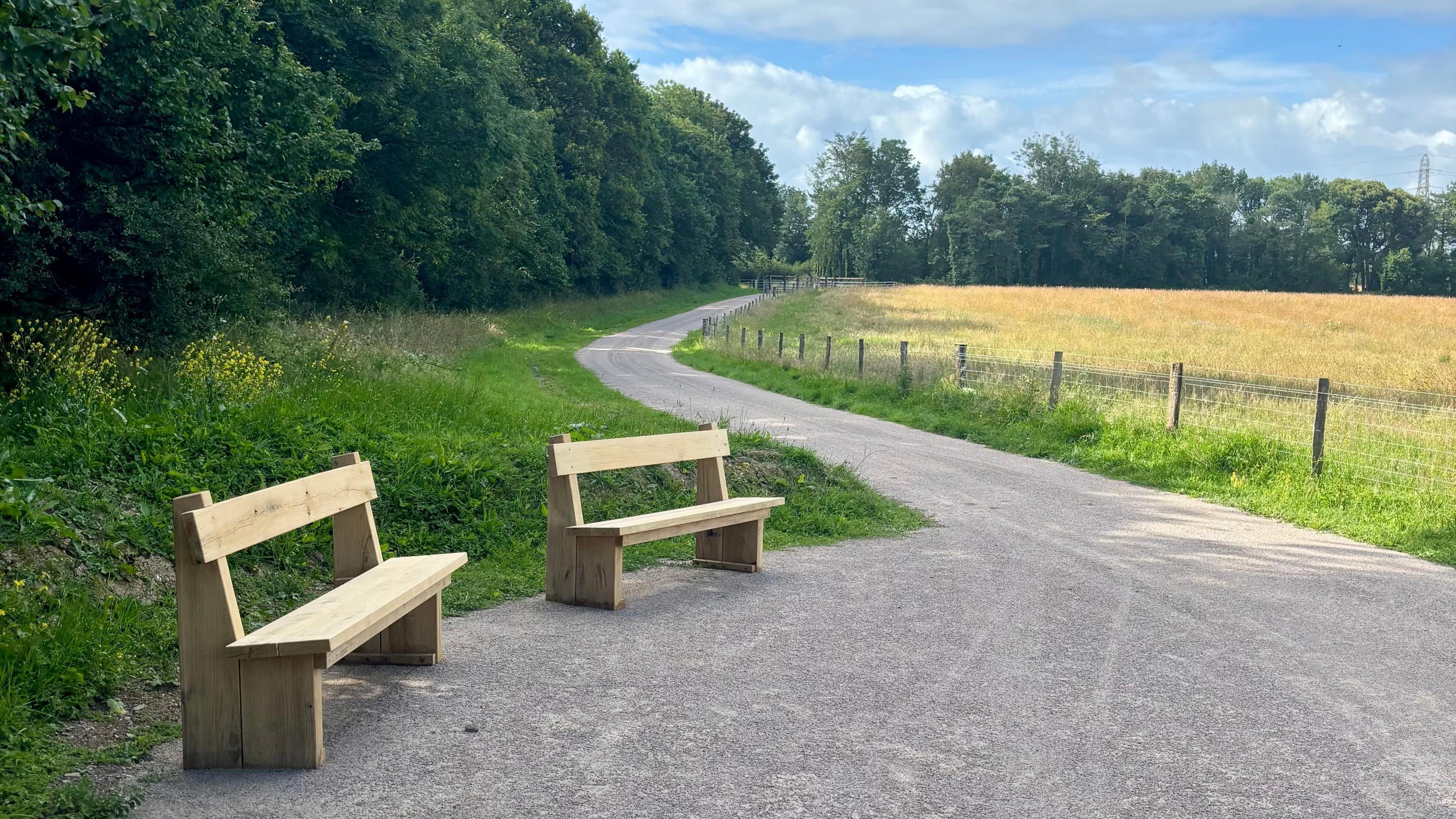 Two simple wooden benches sit beside a gently curving paved path that winds through a countryside landscape. Dense green woodland lines the left side of the path, while a fenced golden field stretches along the right. Above, a wide blue sky is filled with large white and grey clouds.