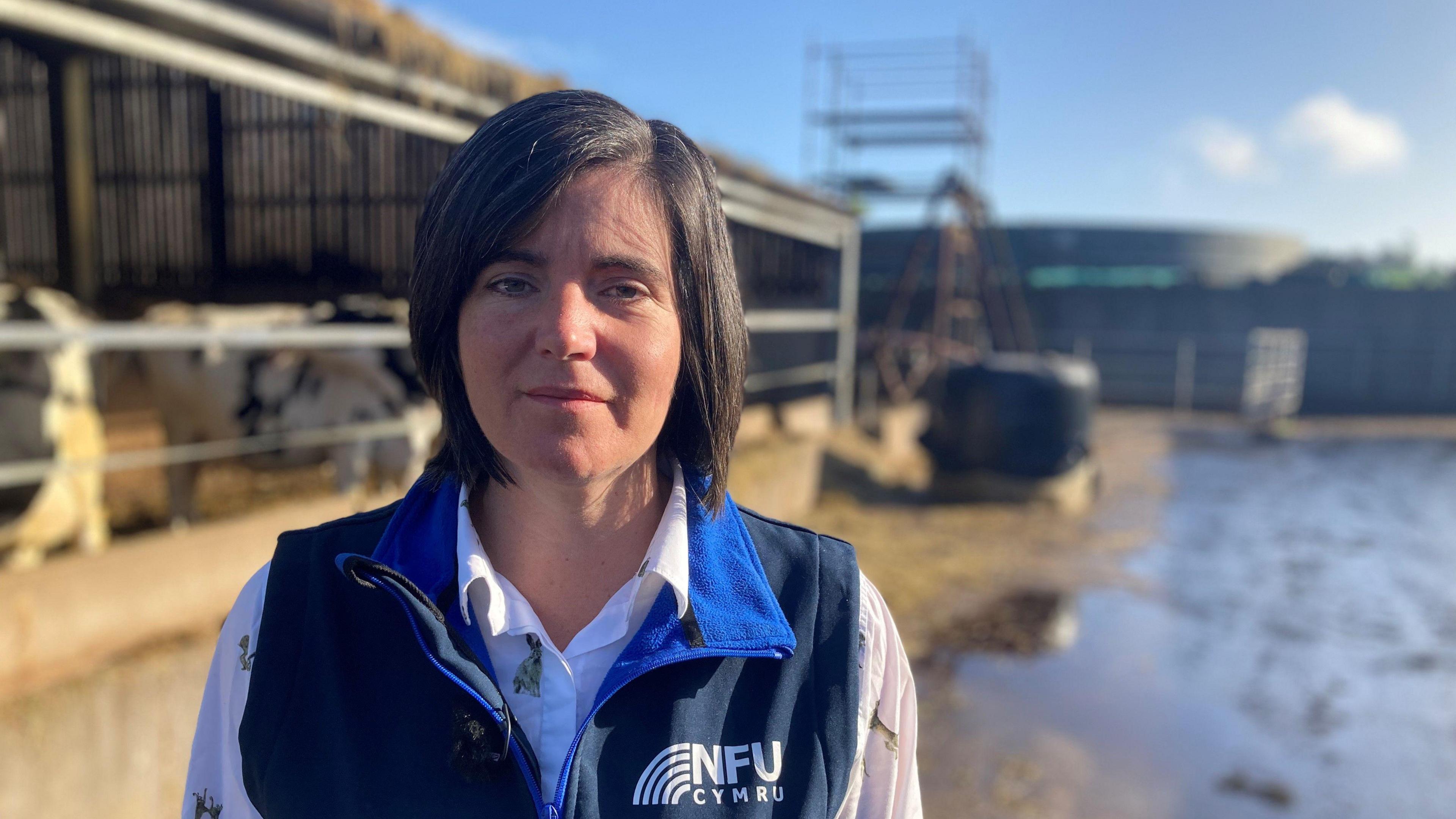 Abi Reader, deputy president on farming union NFU Cymru.