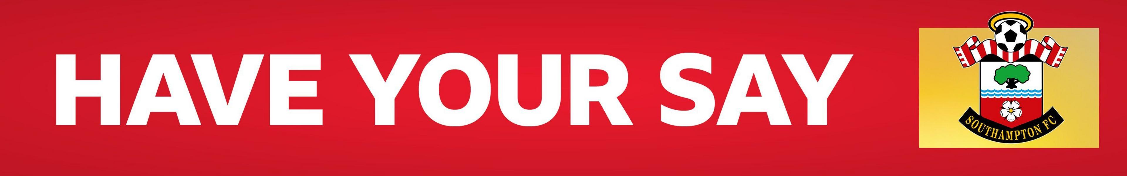 Southampton Have Your Say banner