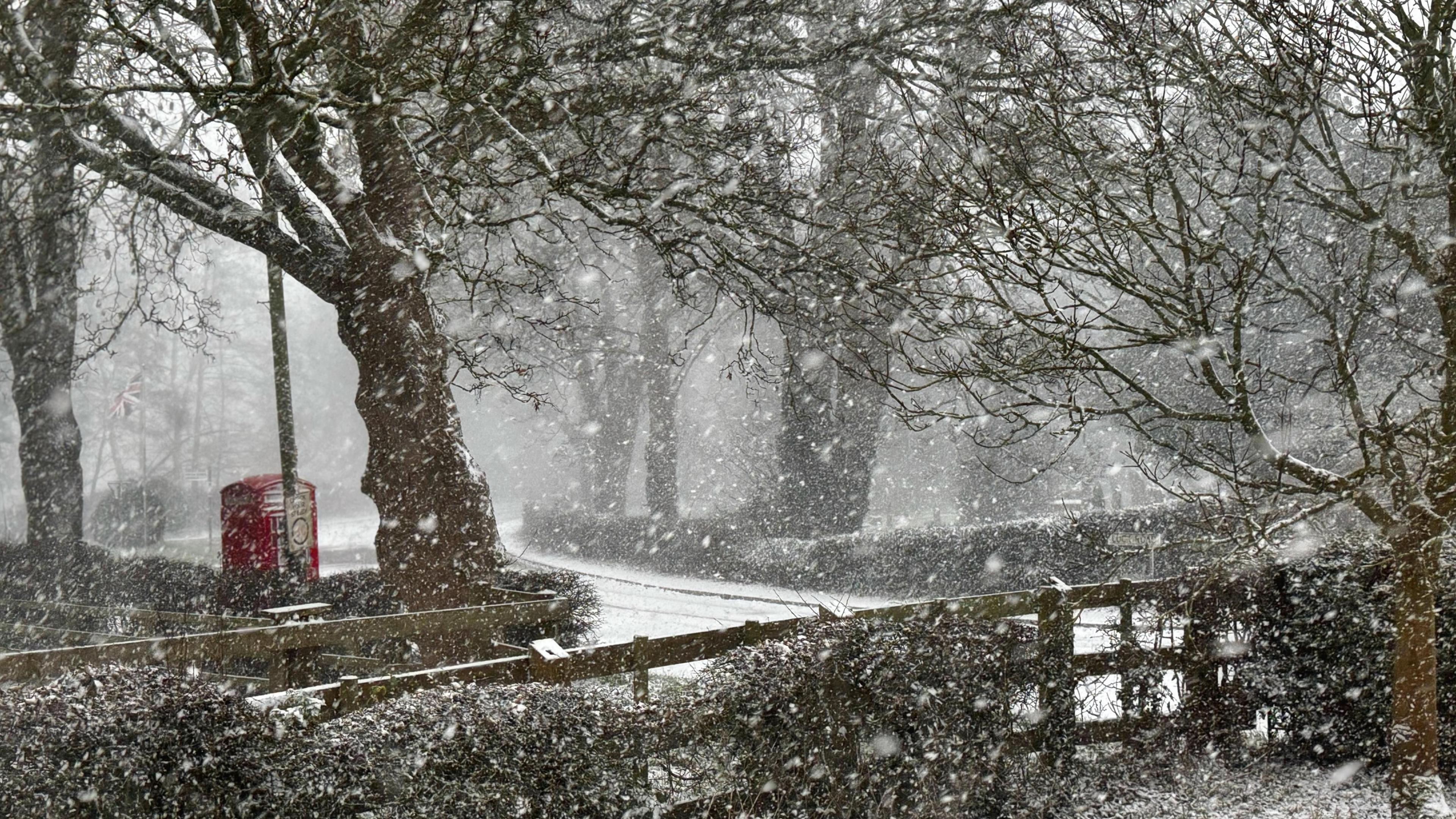 View through snow-coated trees and hedges towards a red phone box and snow-covered road. Heavy snow falls.