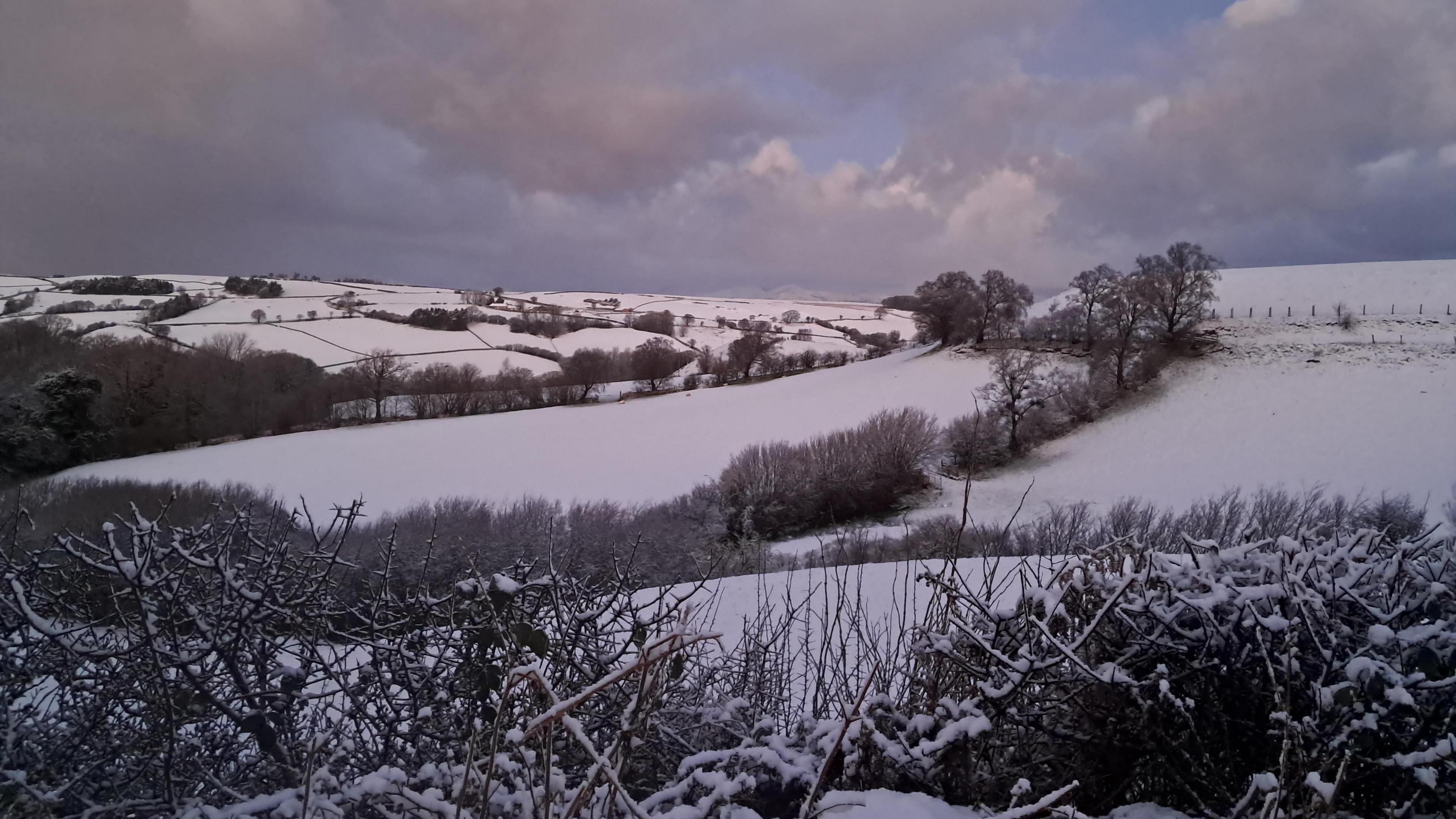 Yr eira wedi cyrraedd Pentrefoelas fore Gwener