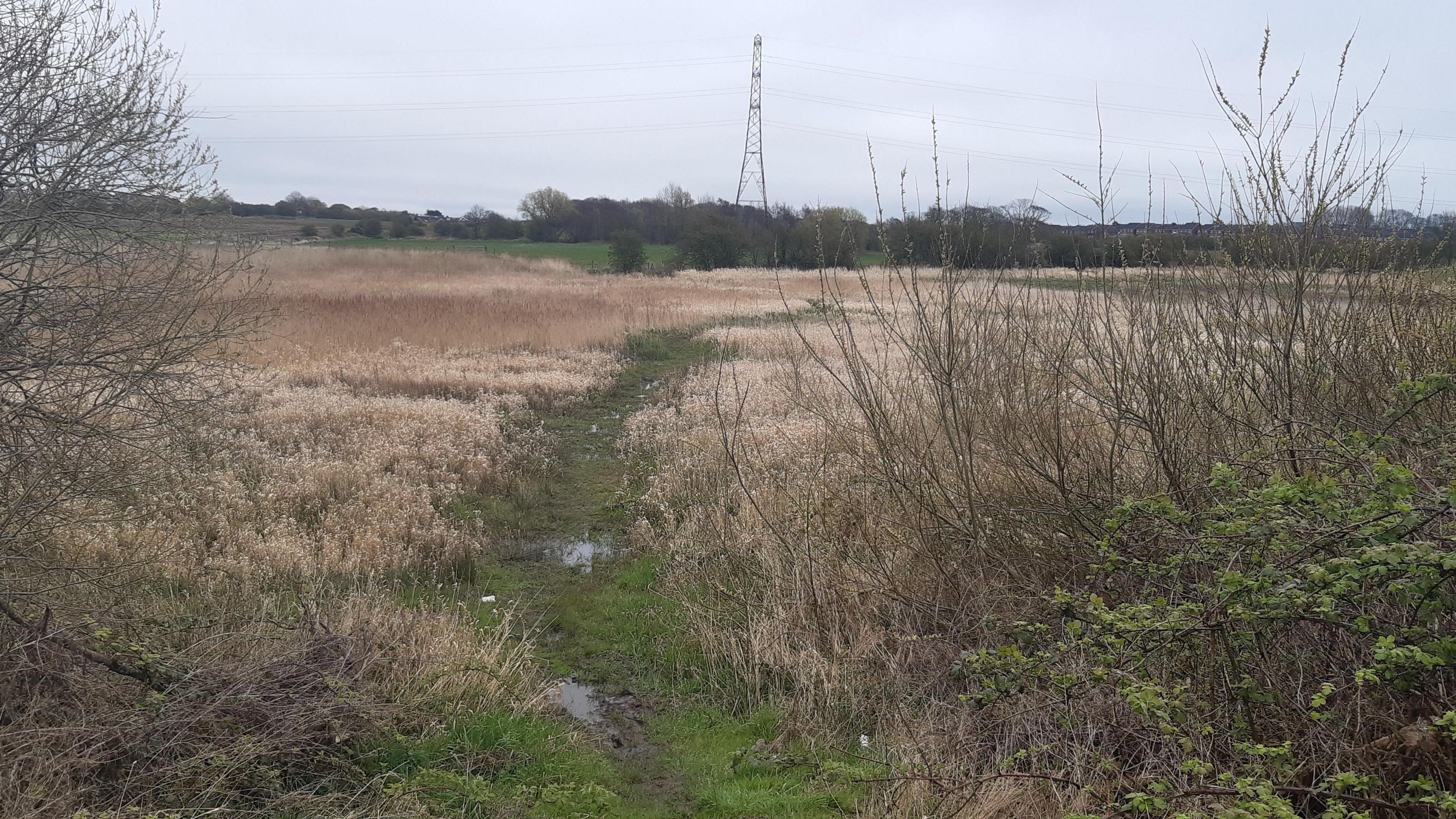 The land on Steeton Road