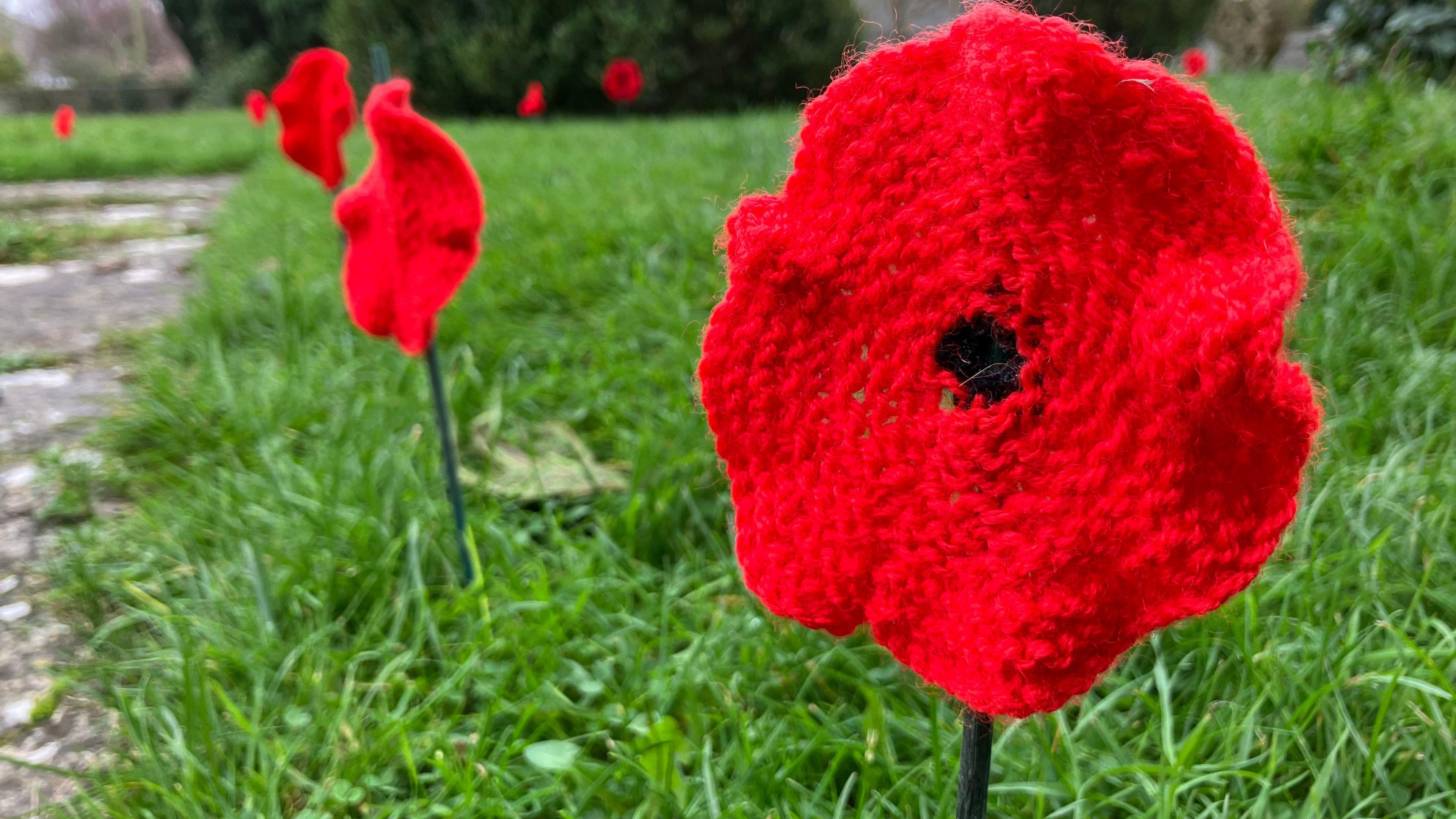 A close up of one of the knitted poppies that lines the path leading up to a church