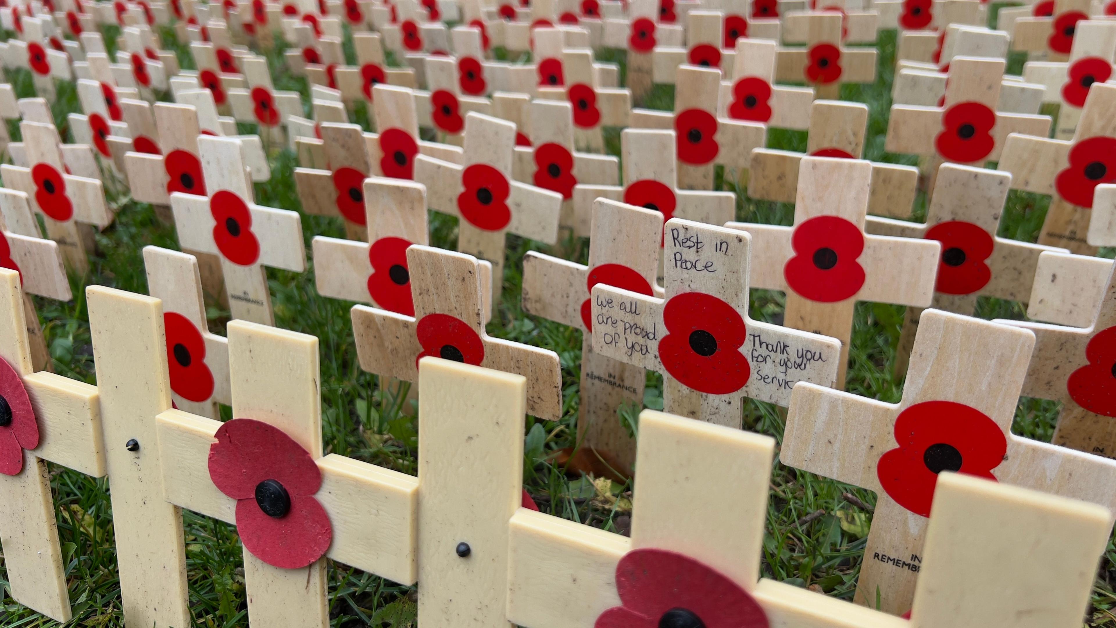 Crosses and commemorative markers set out in rows at Cardiff Castle. The image shows a close-up of crosses with a poppy in the centre of each; some of the markers carry messages, with one reading 'rest in peace' and another, 'thank you for your service'.