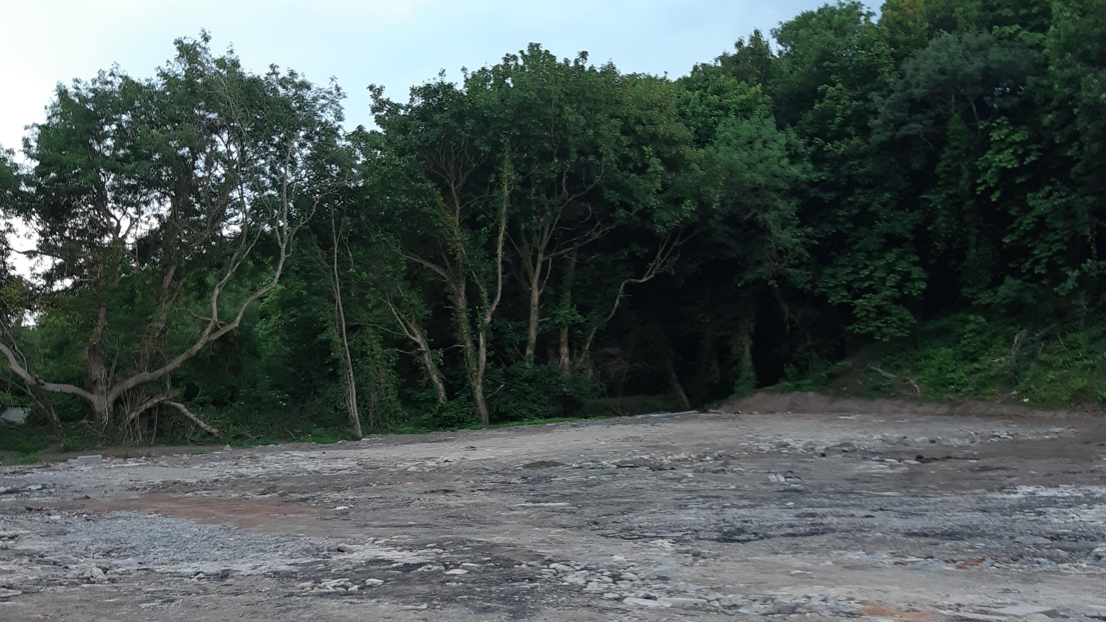 bare land in the foreground, with trees in the background