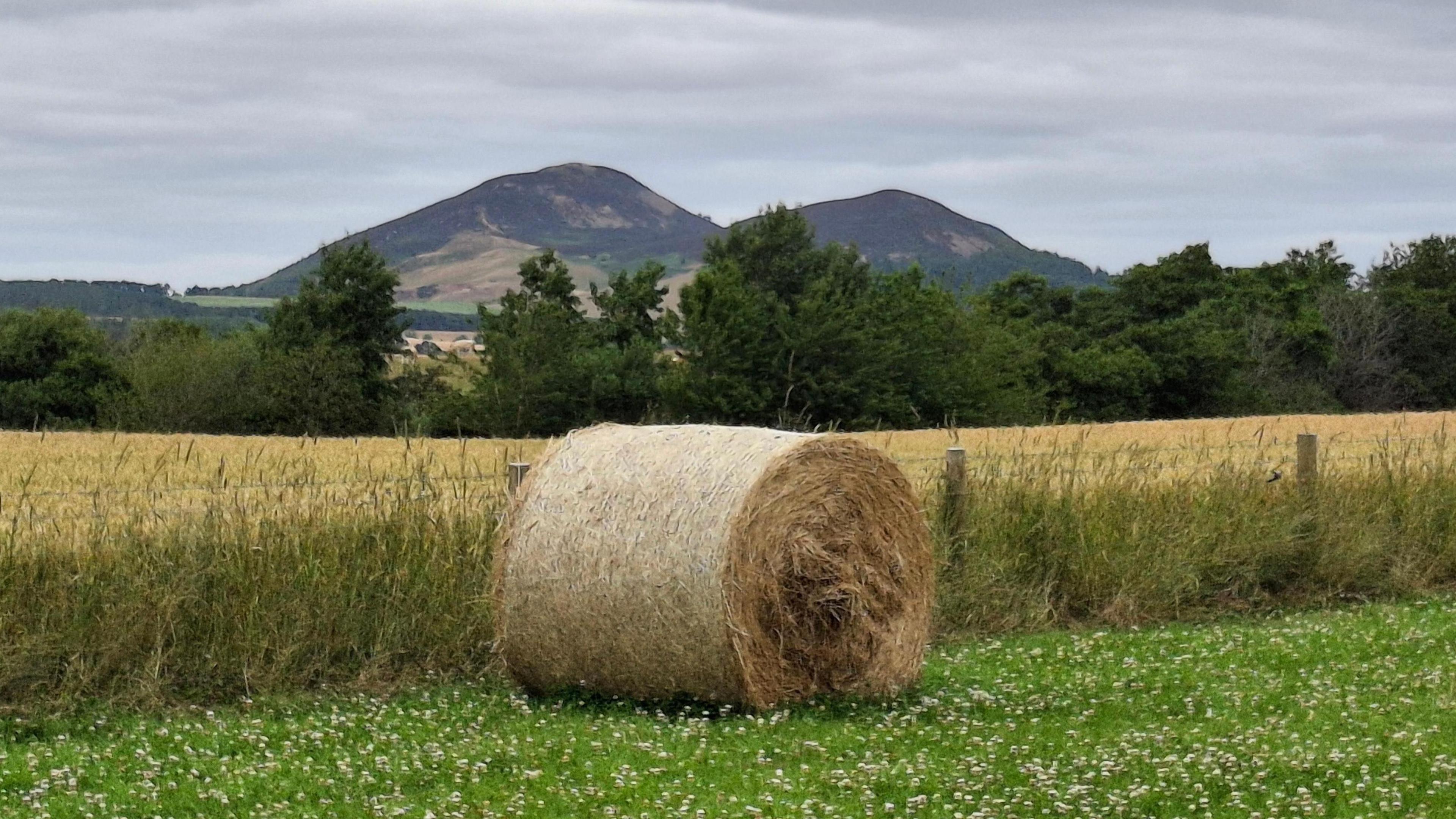 A bale of hay sits on green grass next to a field with mountains in the distance and grey sky above.
