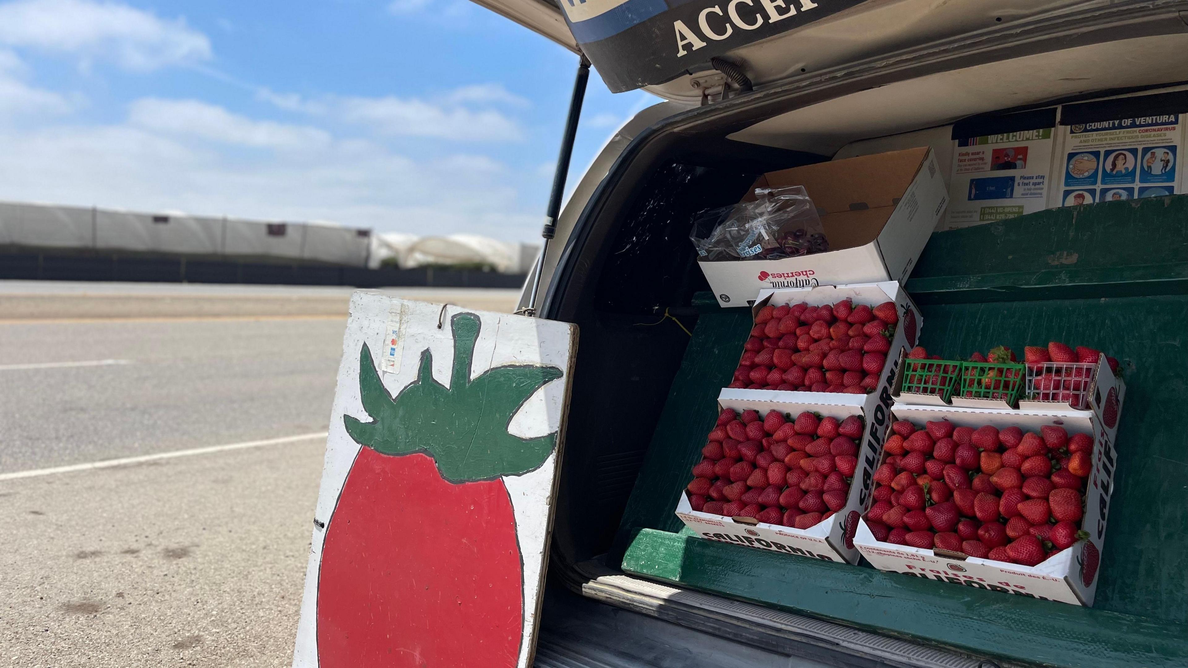 A truck selling strawberries on the side of the road. There is a colourful red cartoon logo of a strawberry and the fruits sit on the bed of the pick up truck