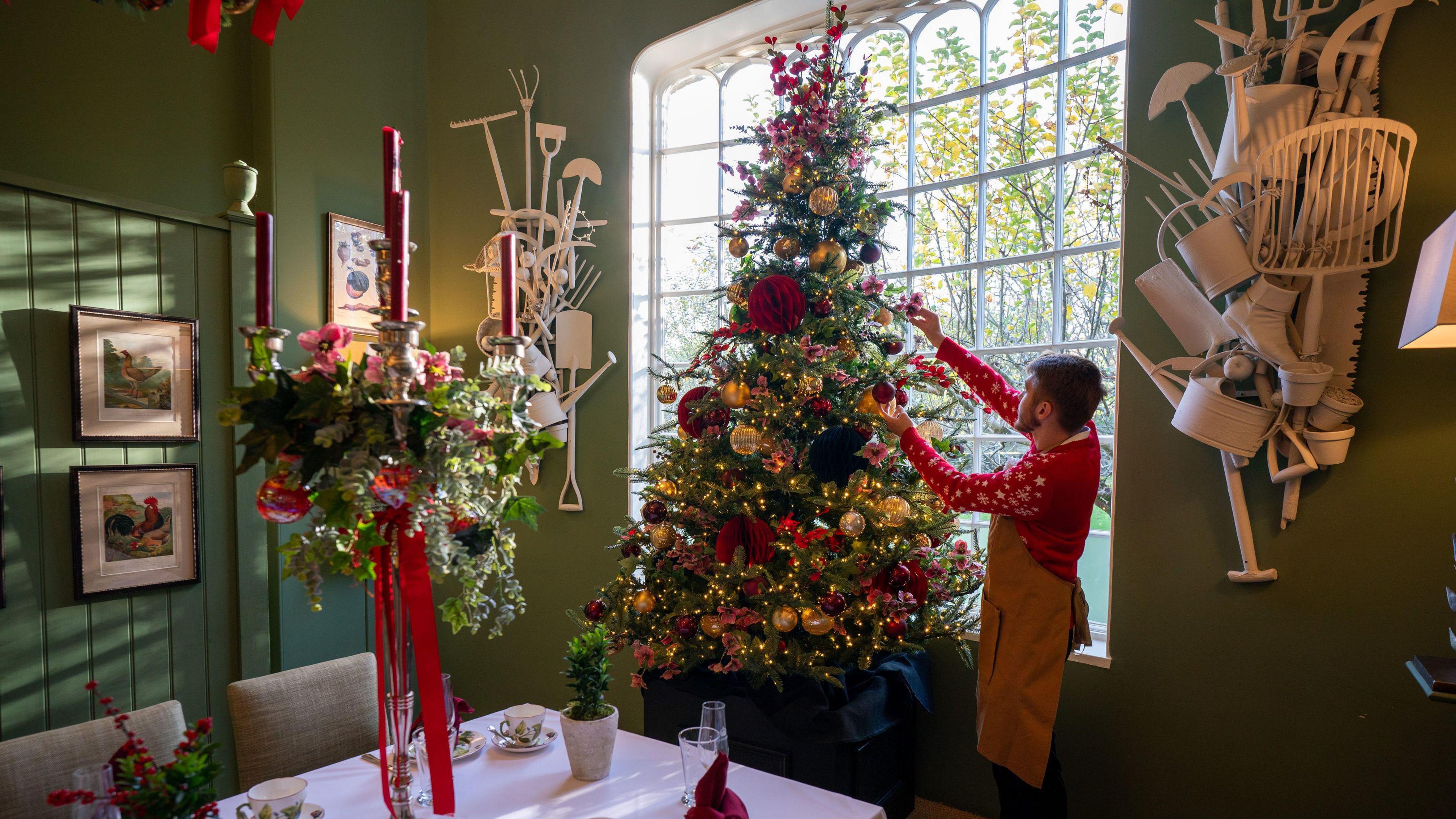 A male member of staff wearing a red Christmas jumper and a tan coloured apron decorates a Christmas tree in a large window by a dining table at the Highgrove Estate