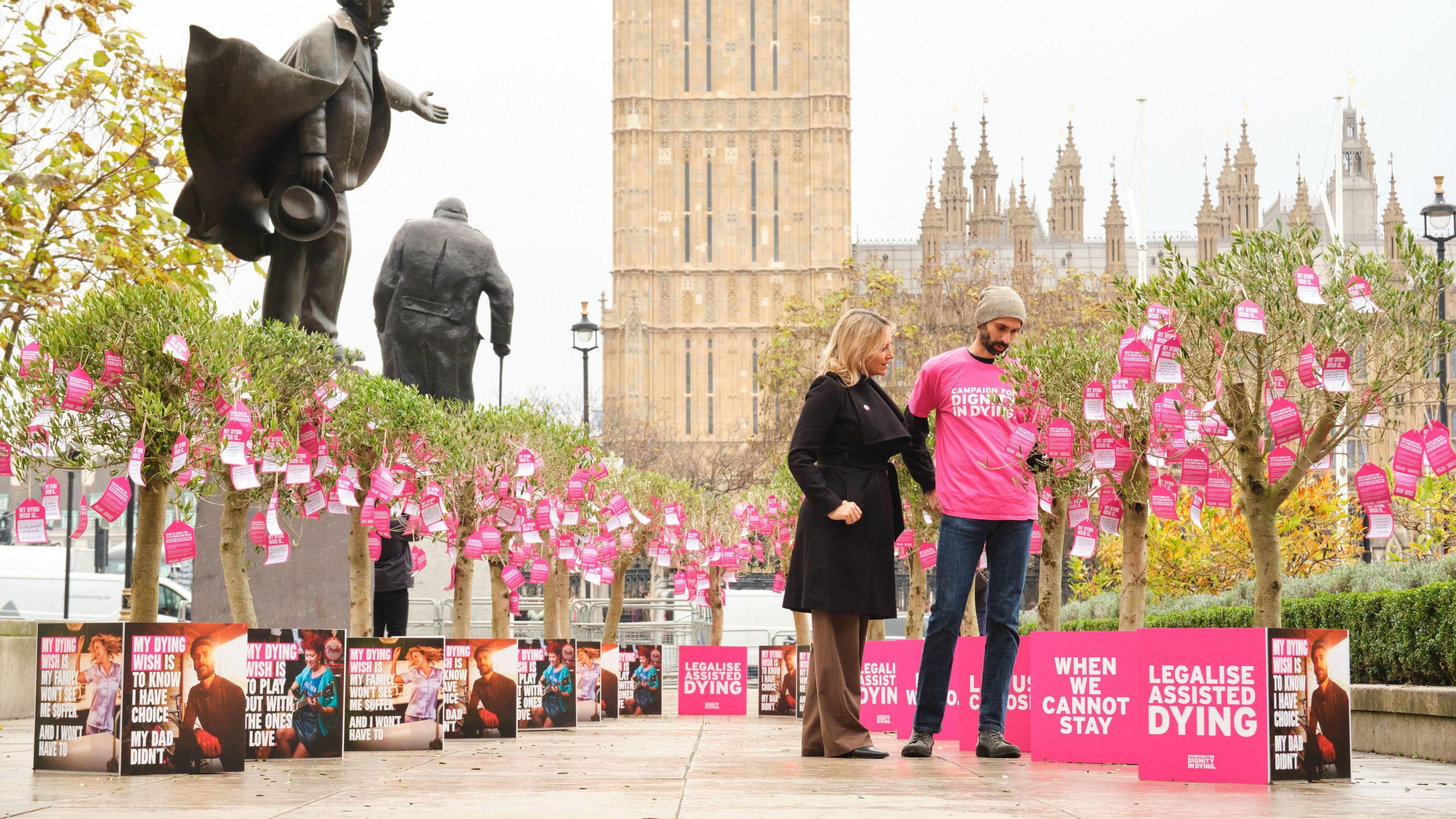 A man in a pink "Dignity in Dying" T-shirt and jeans and a woman in brown trousers and a black coat, look at trees bearing pink notes in Parliament Square in London. The Houses of Parliament are behind them as are two statues. 