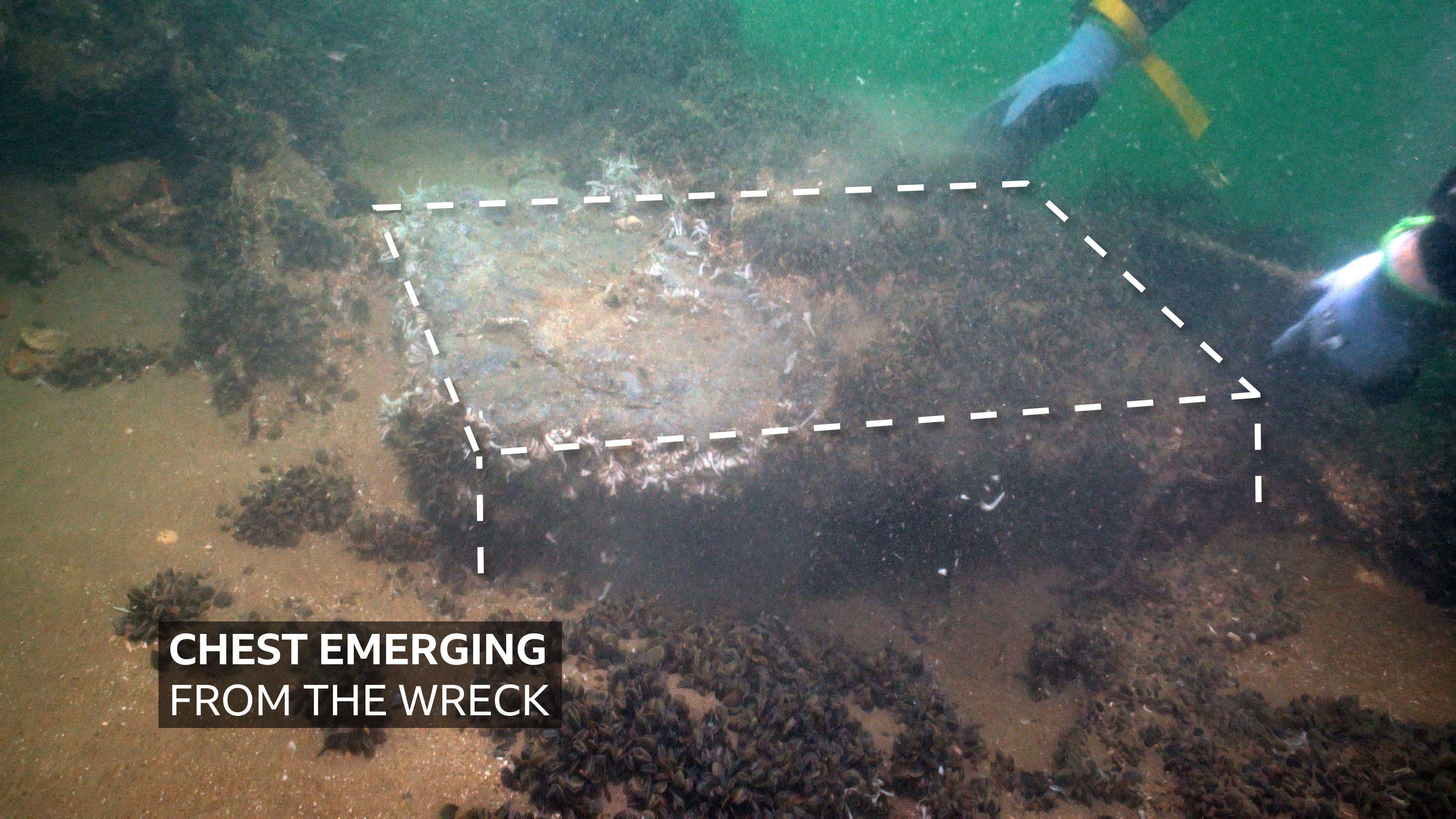 A rectangular item sticking out of the sandy seabed and covered in dark green plants. It is outlined with white dashed lines and labelled as a 'chest emerging from the wreck'.