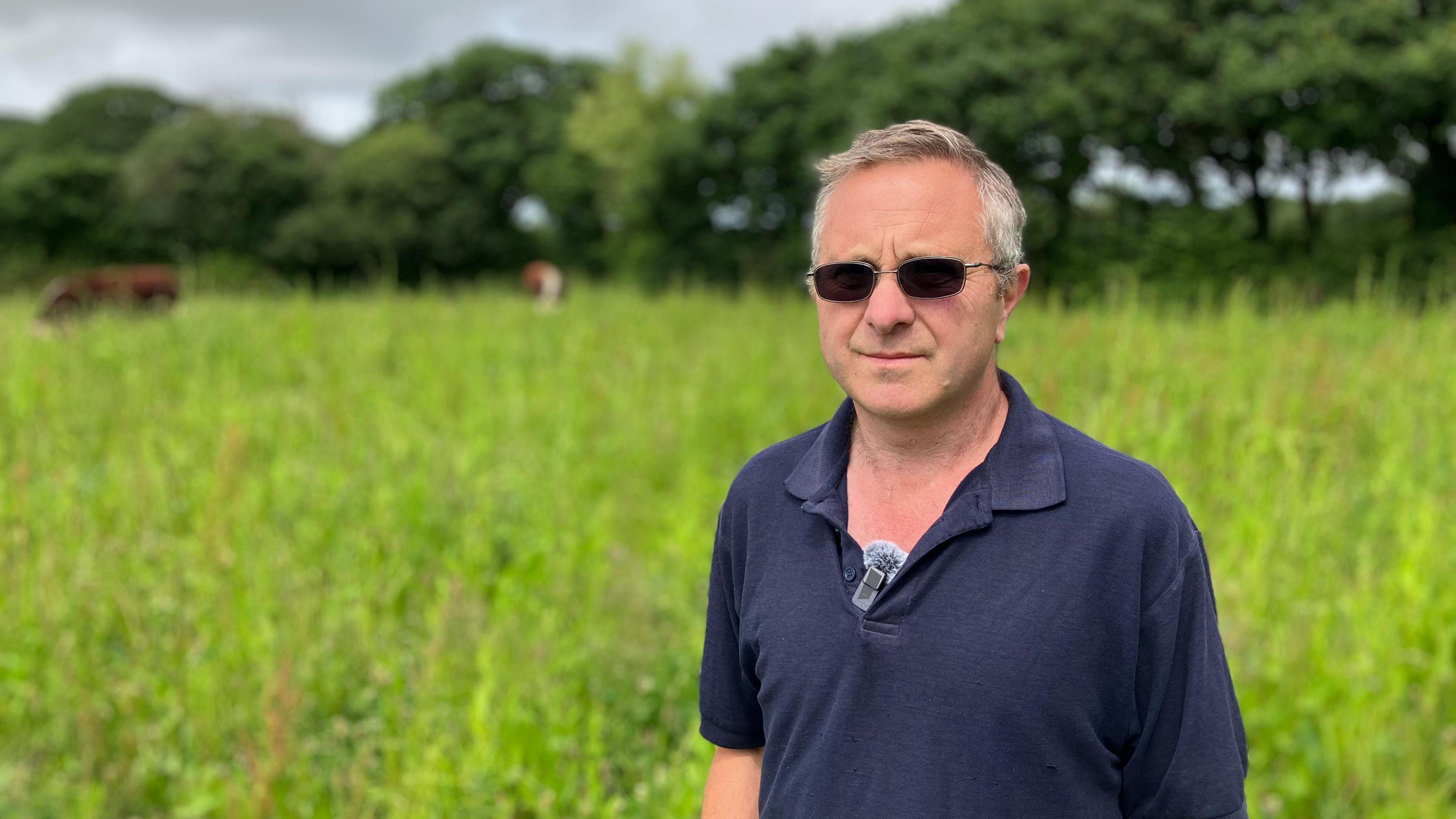 A farmer in a blue short sleeved shirt stands in a large field. The plants in the field are waist high and there are 2 bulls in the background. The sky is overcast.