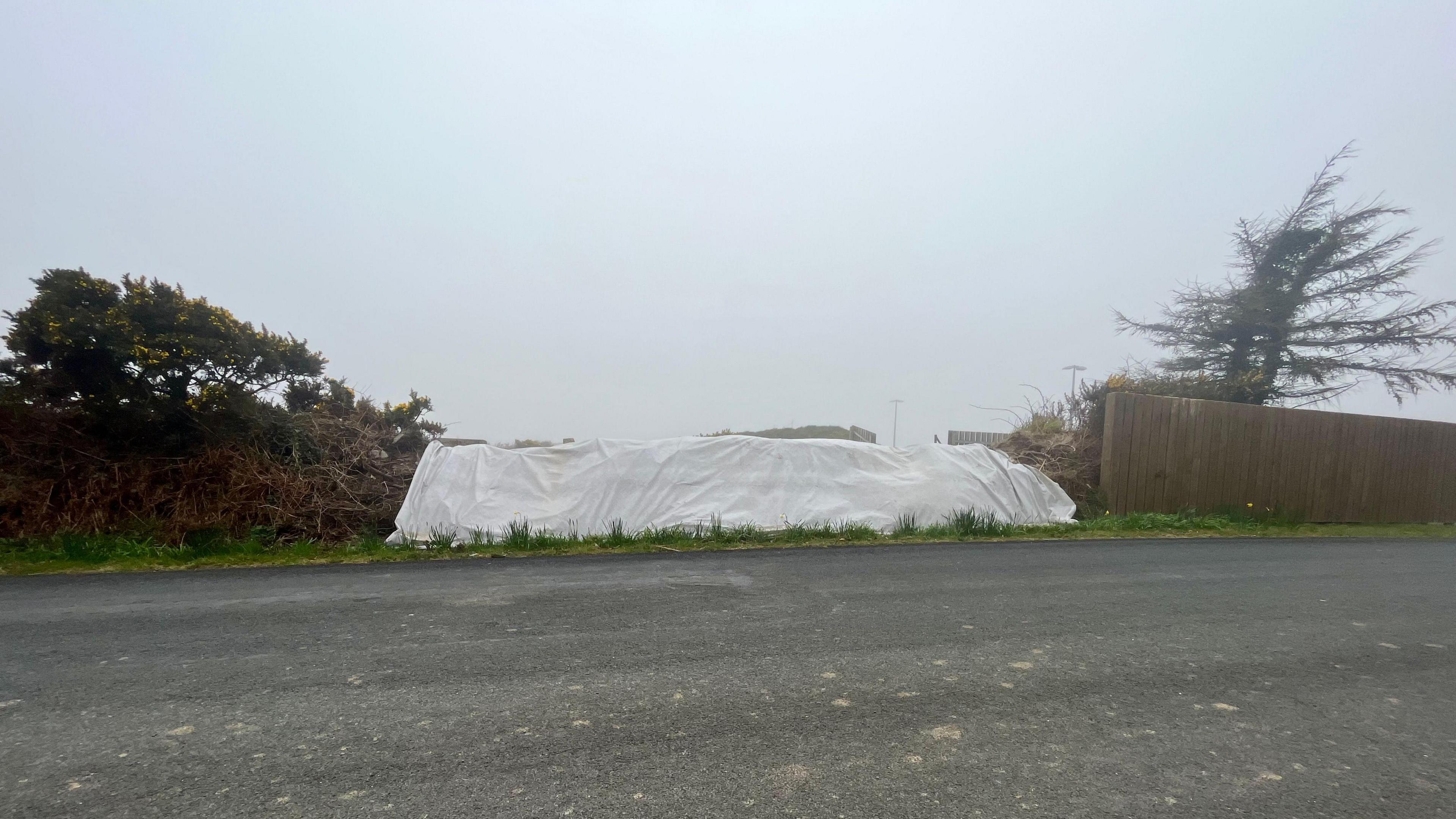 A road, you can see white tarpaulin over hedges on the side of the road.