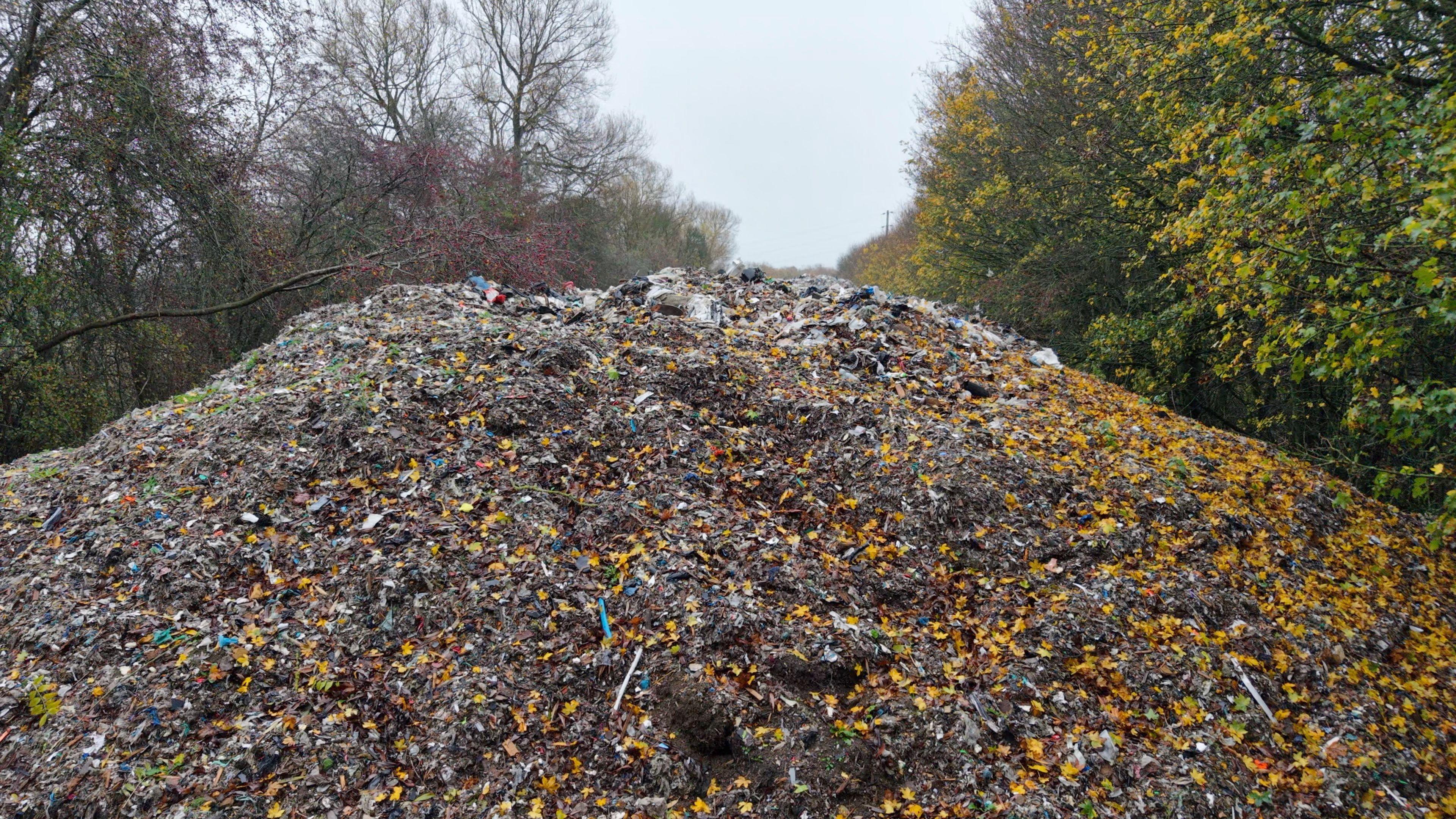 A large pile of rubbish between trees.