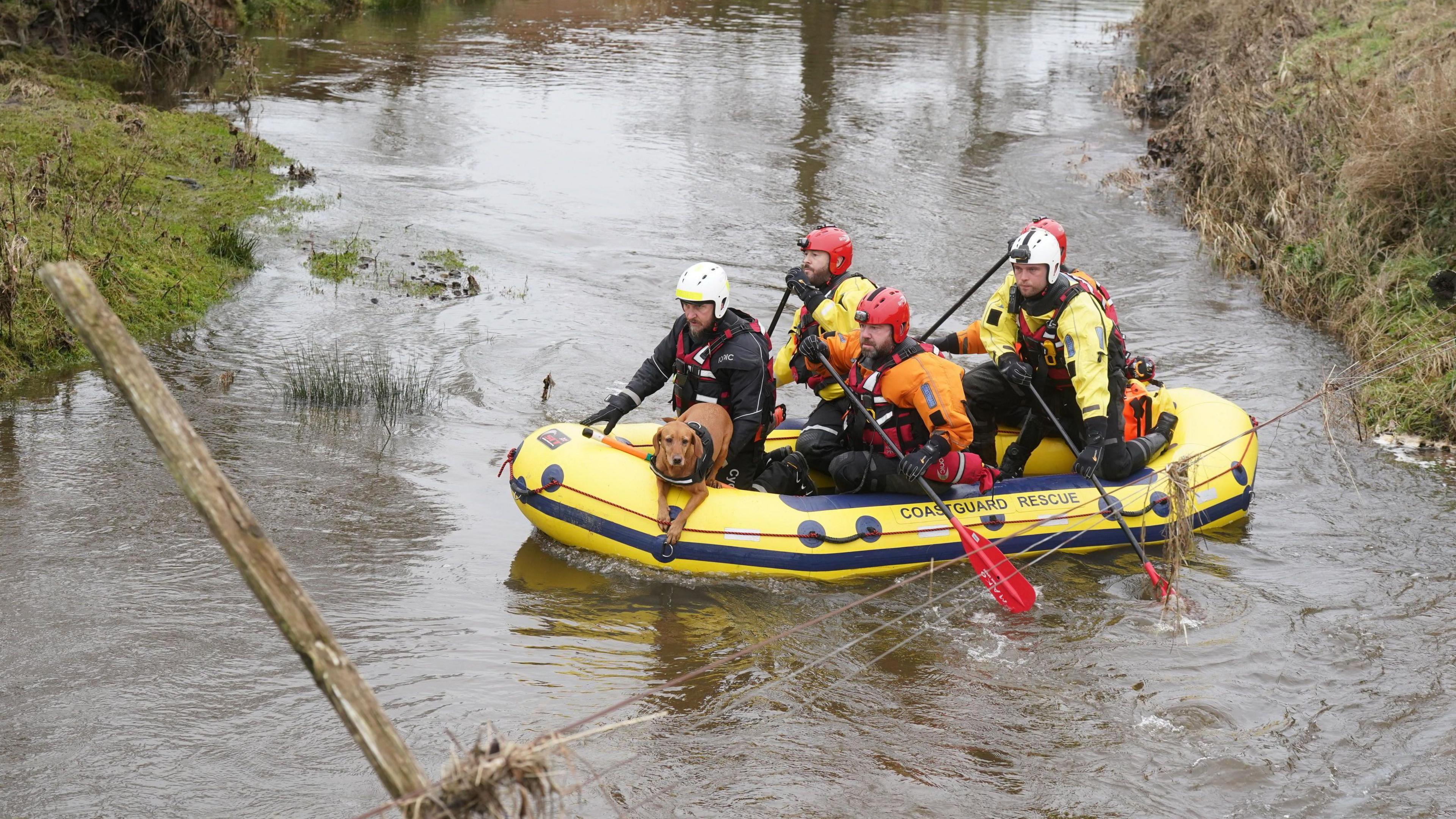 A search team on a yellow dingy that says 'Coastguard Rescue'. There's a brown dog on the boat with its paws leaning over the side.