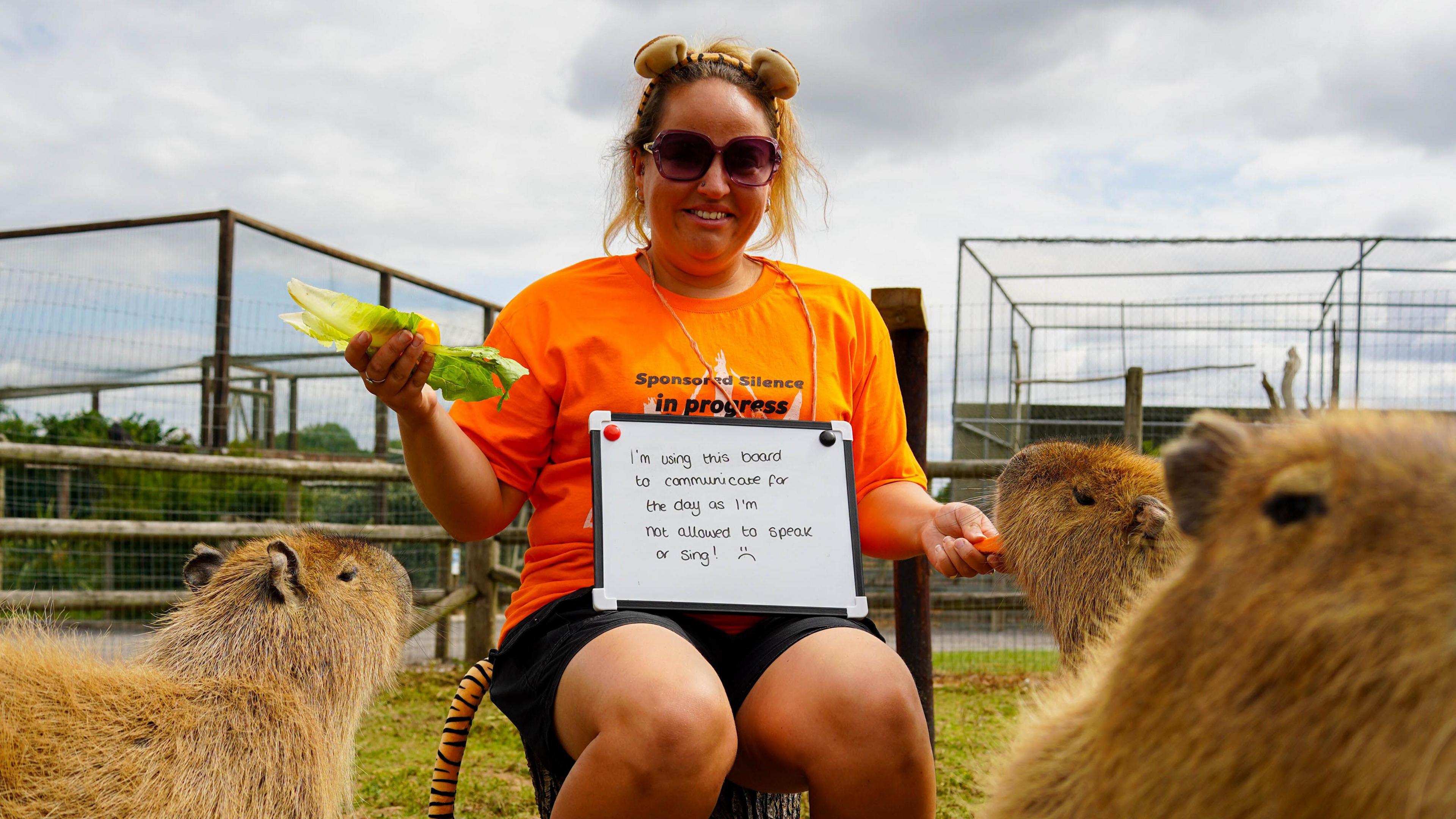A woman in an orange T-Shirt is sitting in an enclosure feeding Wombats. She has a board around her shoulders which she is using to communicate.