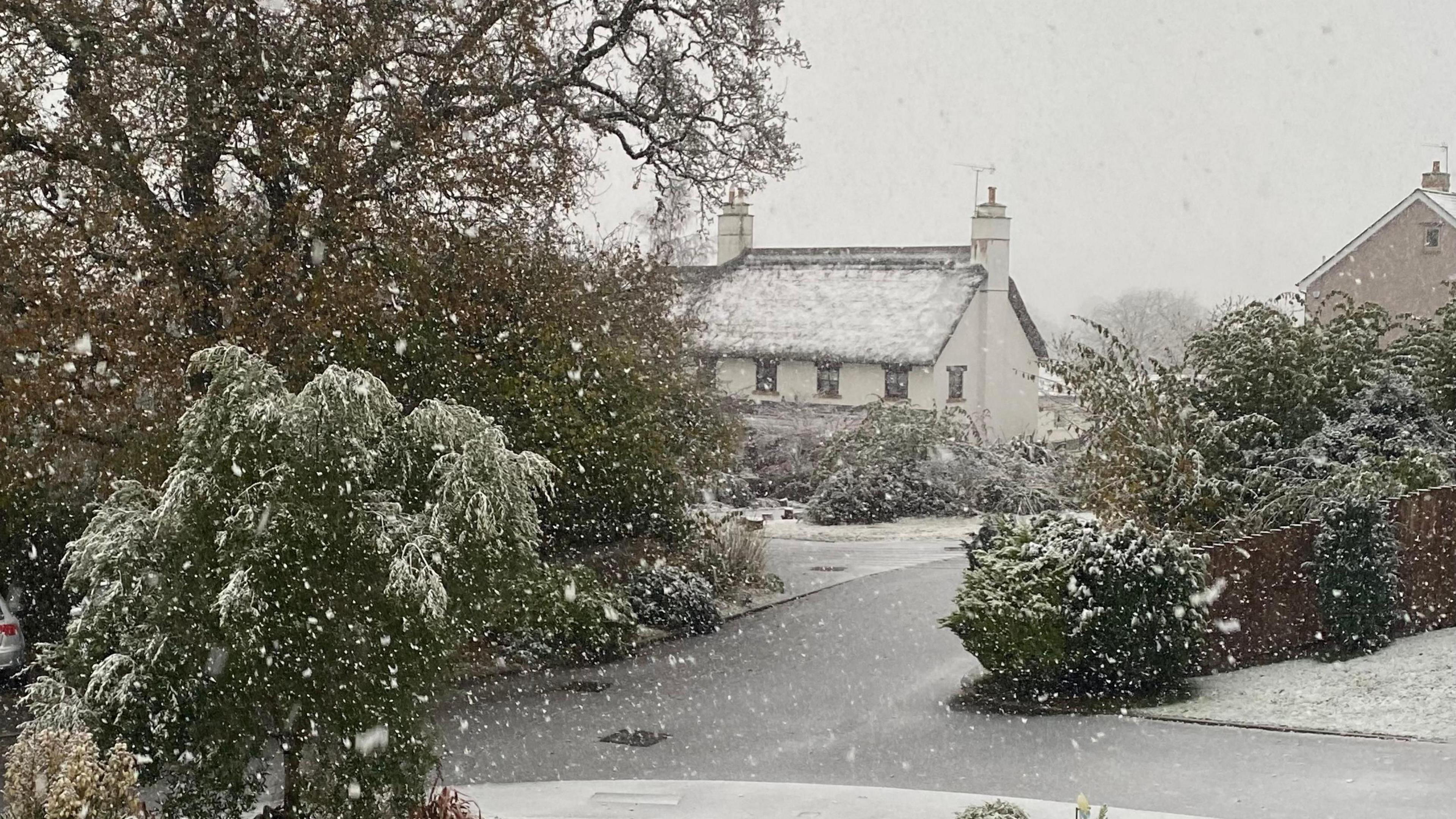 A snowy scene with a road, house and trees covered in the white stuff. Snowflakes are falling from the air from a dark grey sky.