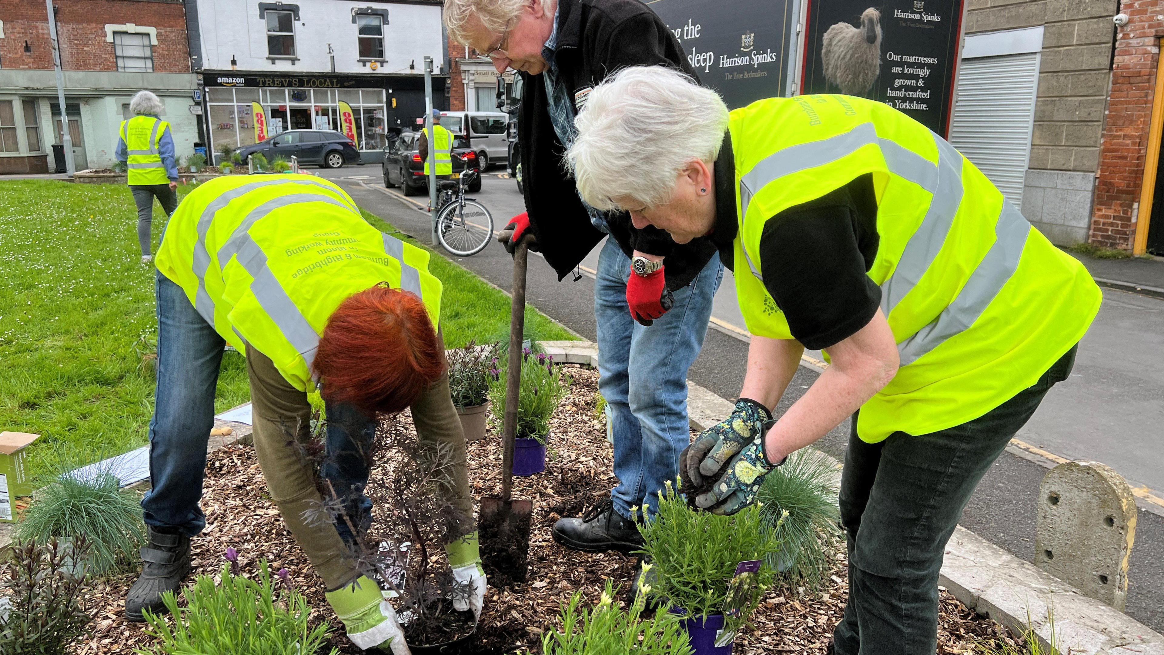 image of people planting flowers