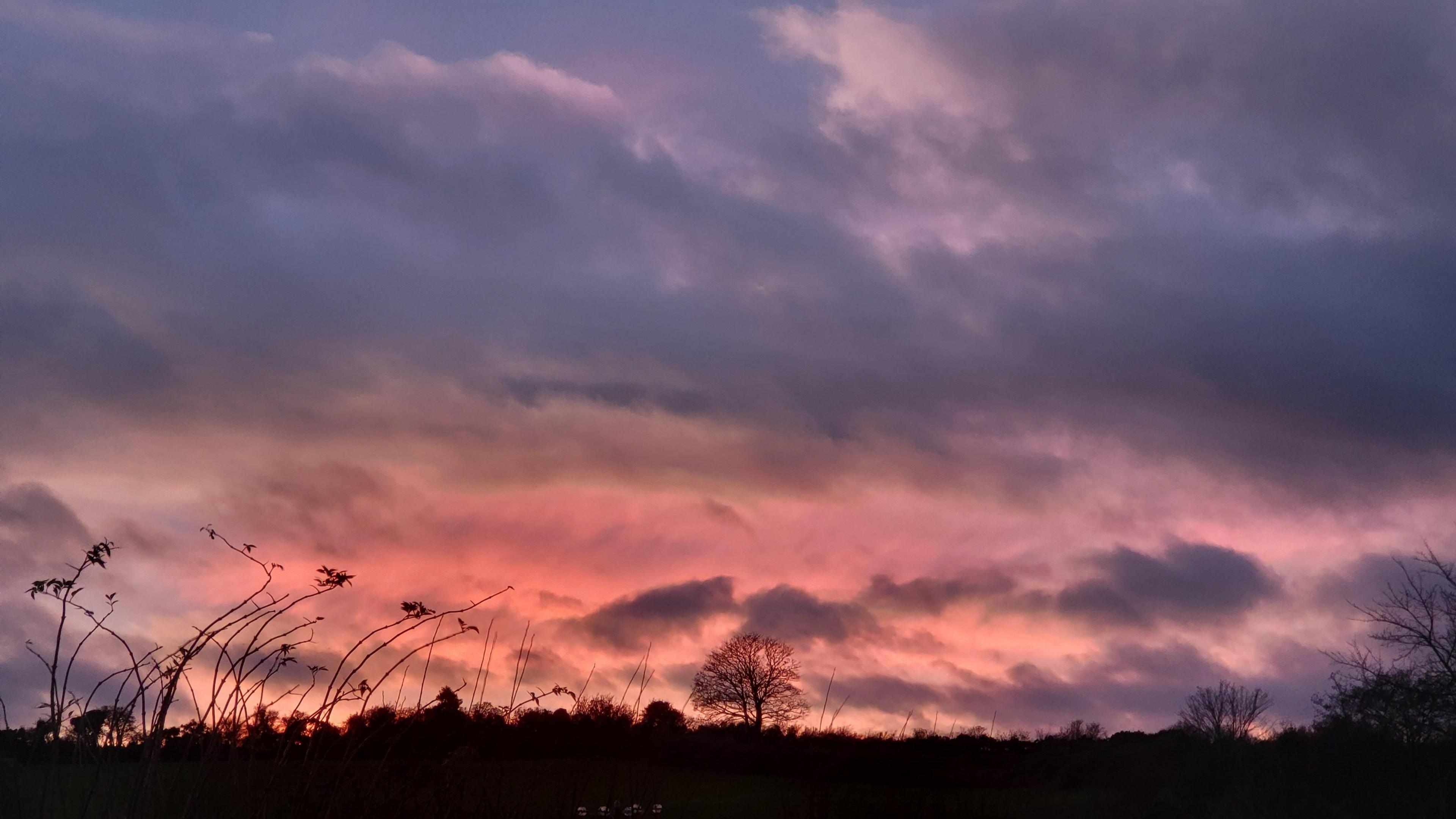 Pink sky in Penmon