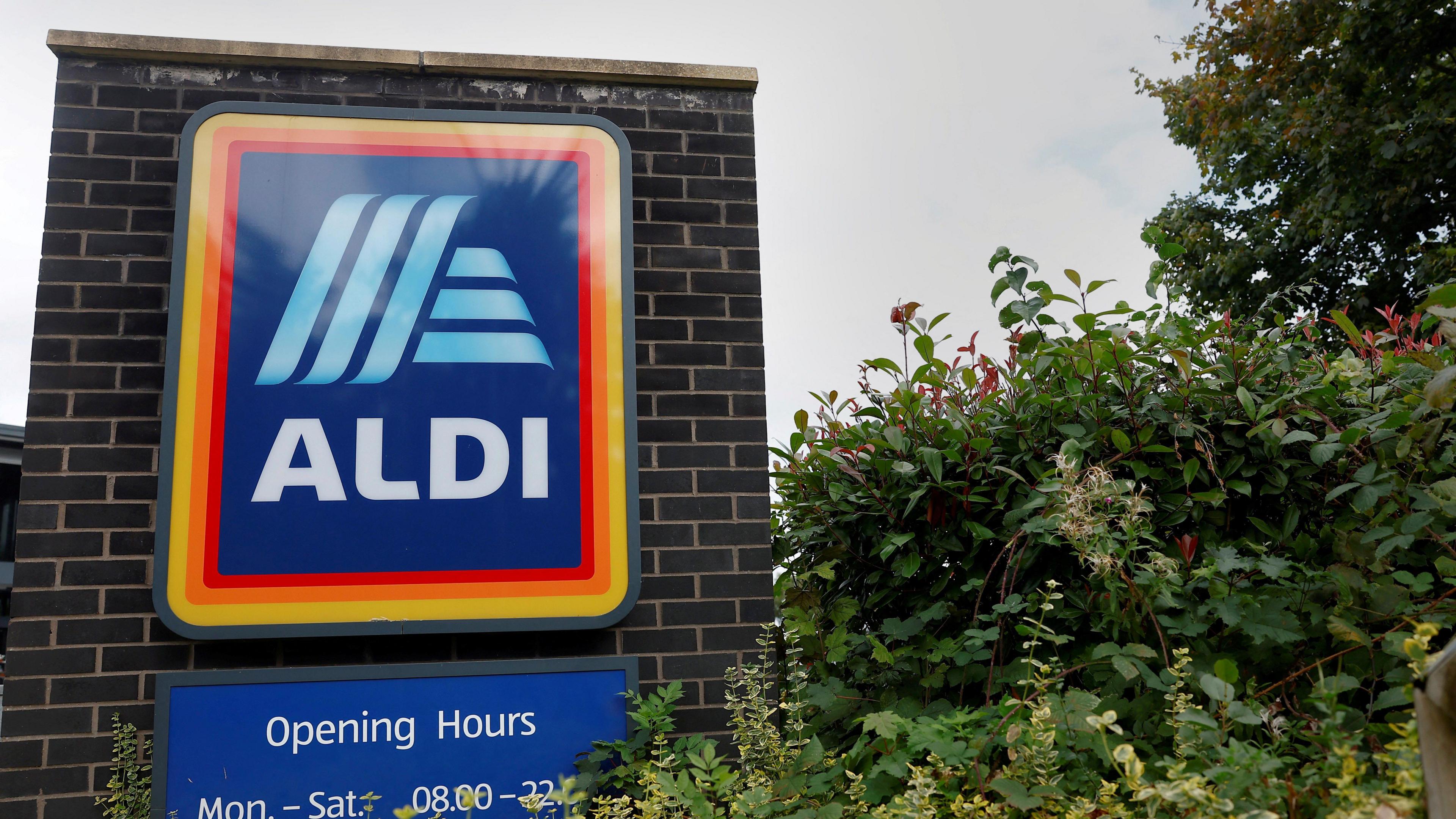 An Aldi sign on a brick wall. There is also a green bush to the side.