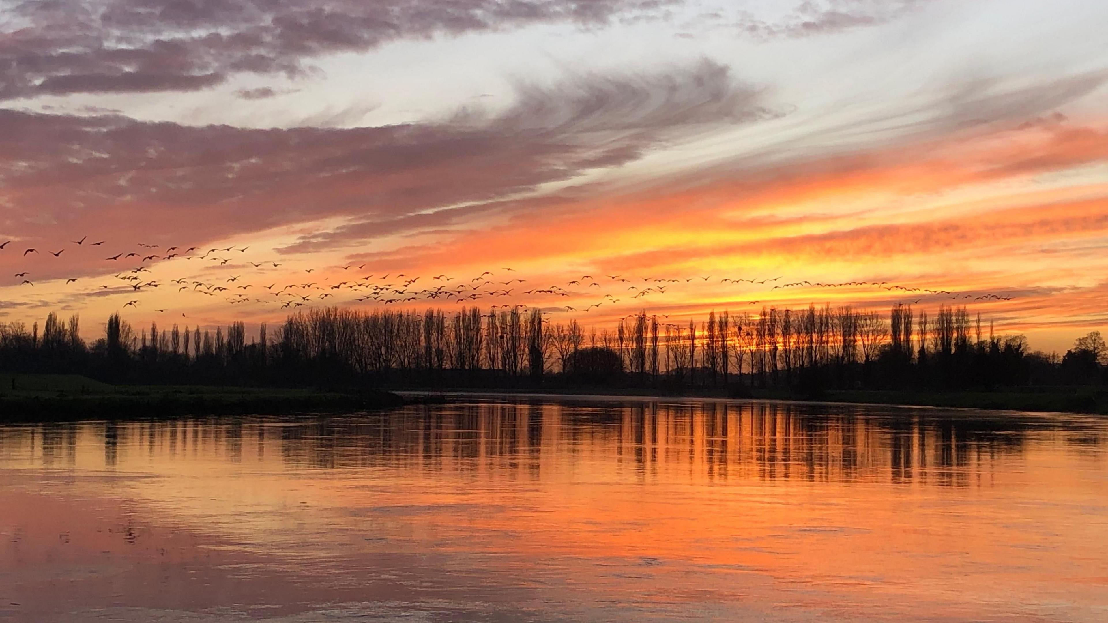 Low sun sets above a lake as birds fly through the cloud 