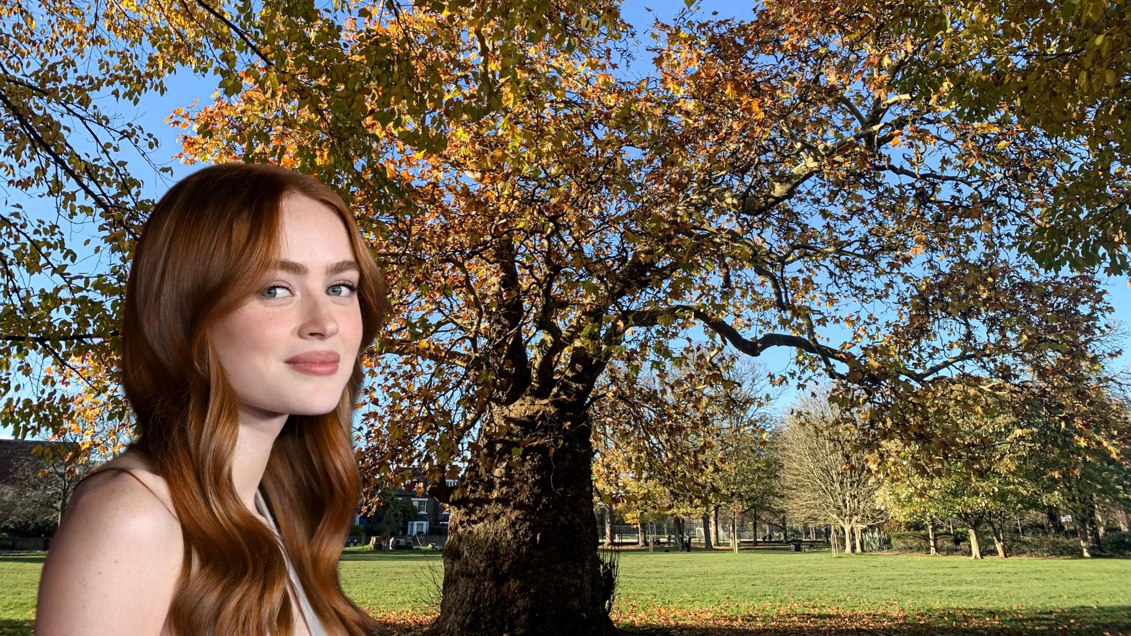 An edited image with Sadie Sink and Ravenscourt Park.