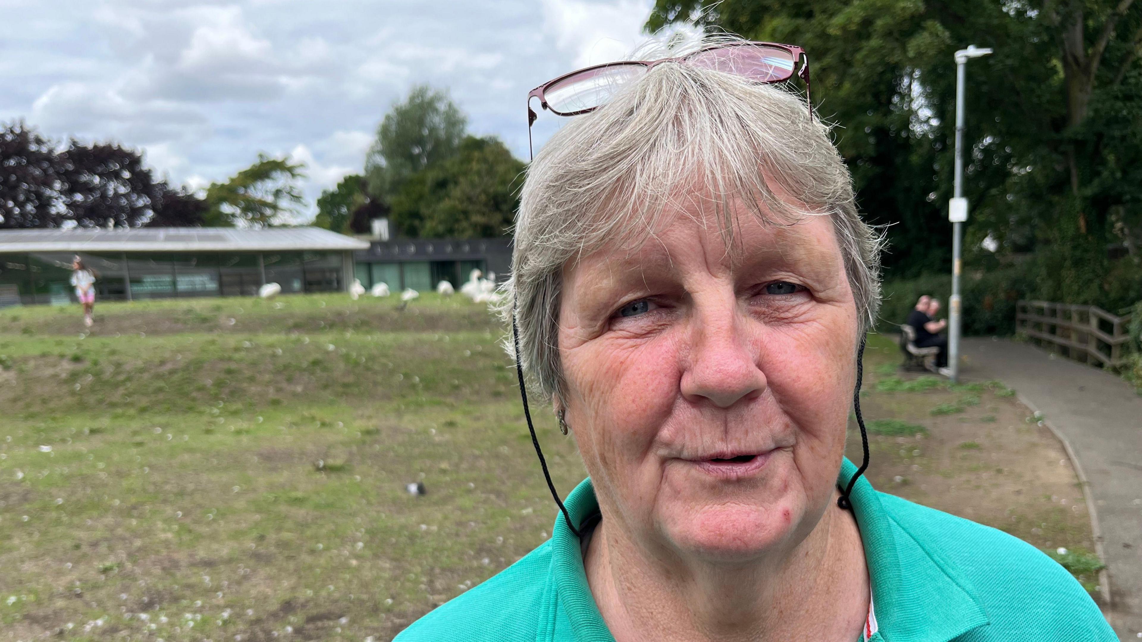 Brenda Smith, 65, has short grey hair with a fringe over her eyes and glasses perched on her head with black cord attached to the frames hanging down, she has a light green t-shirt with the collar open, behind her is a grassy mound with several white geese on.