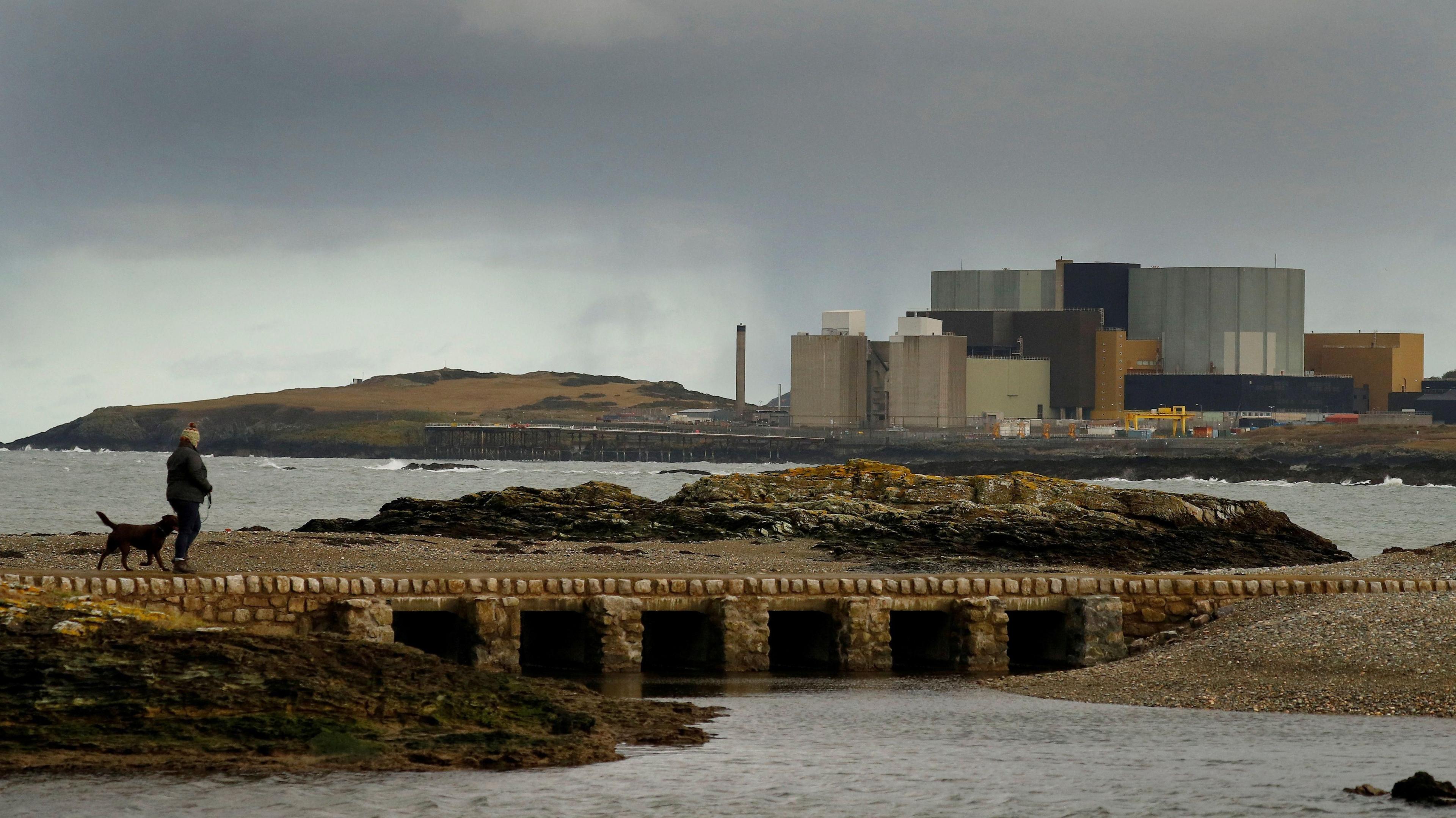 Wylfa 