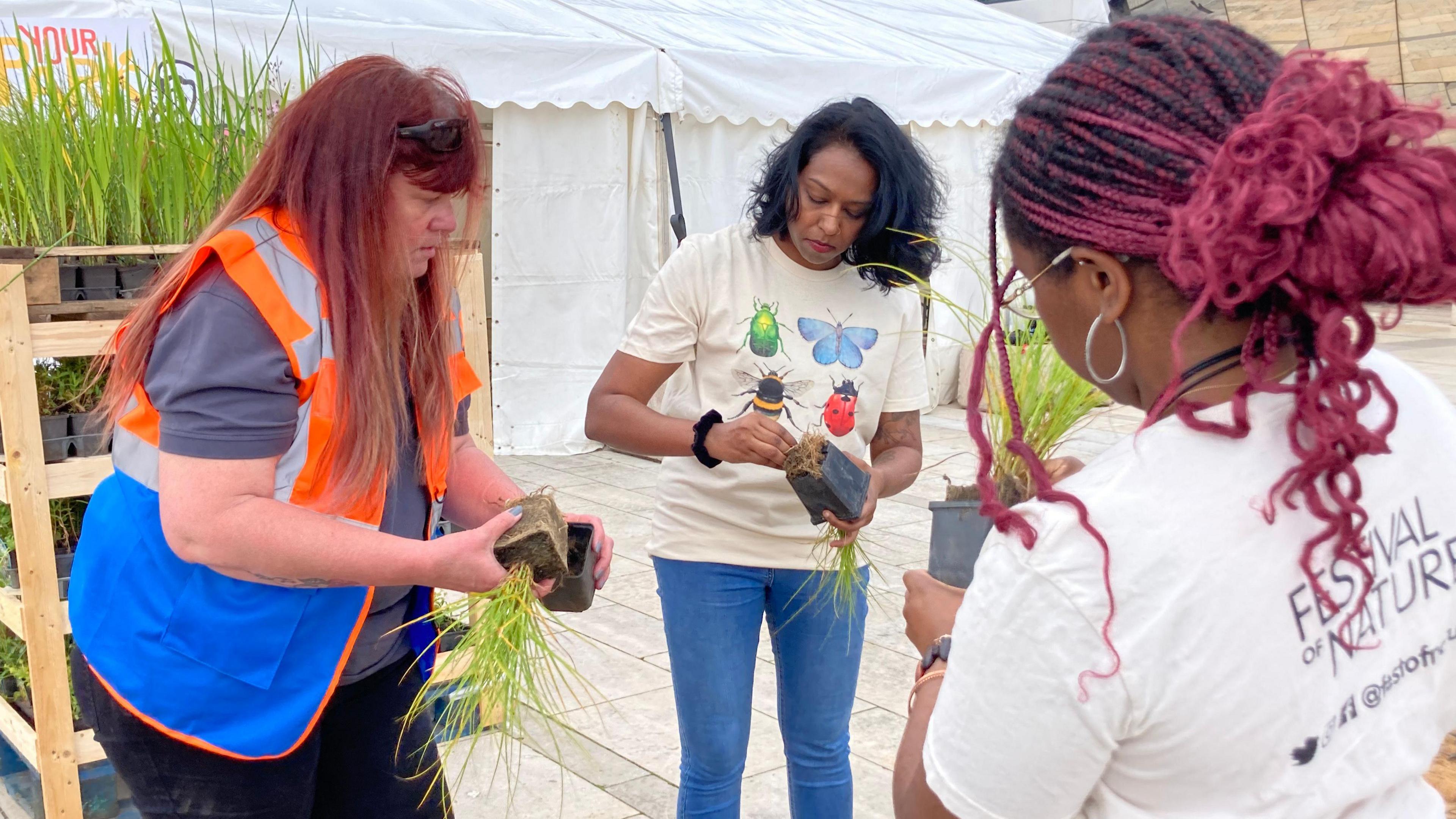 Three people taking plants out of plastic pots