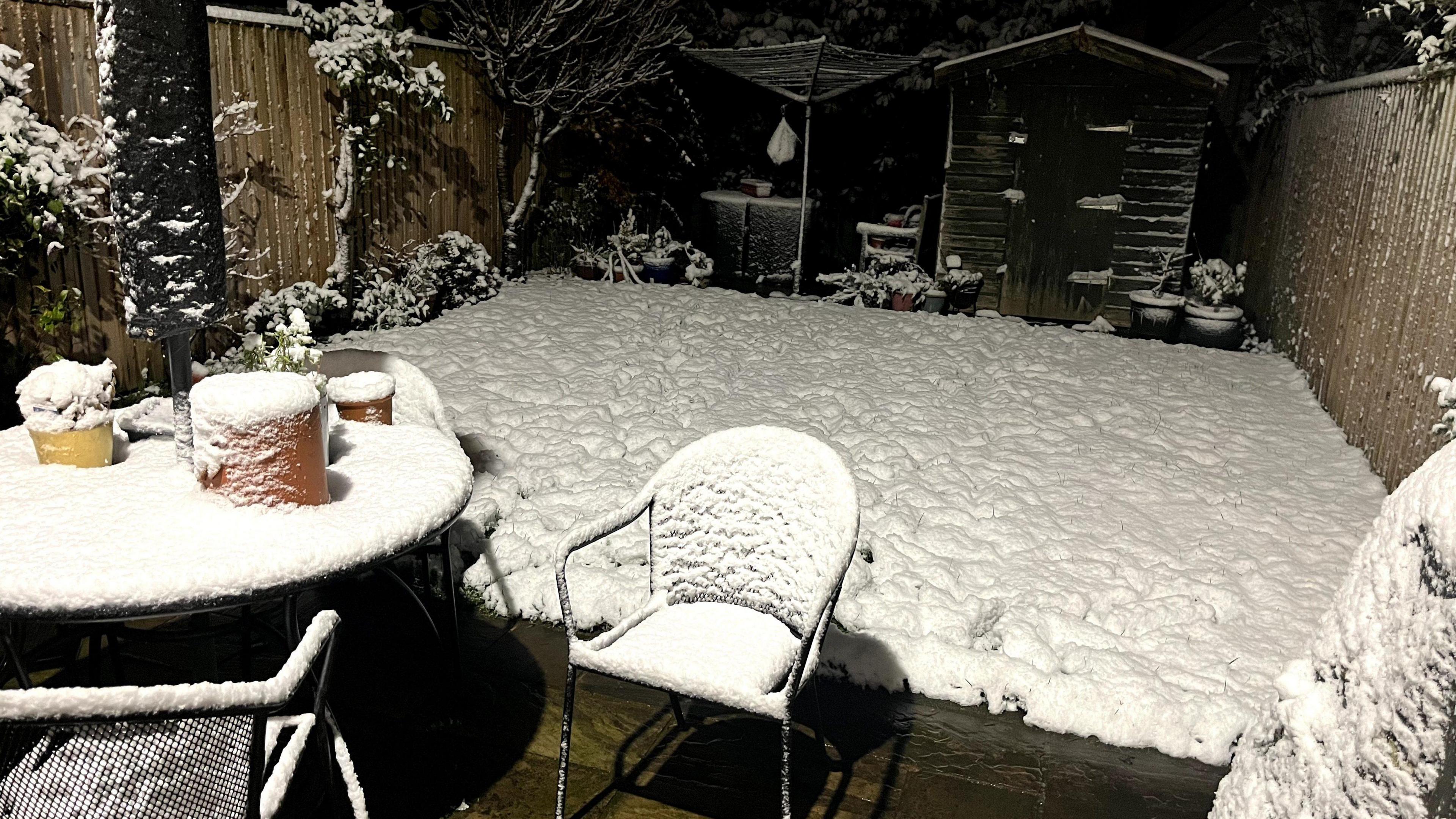 snow settled on a back garden