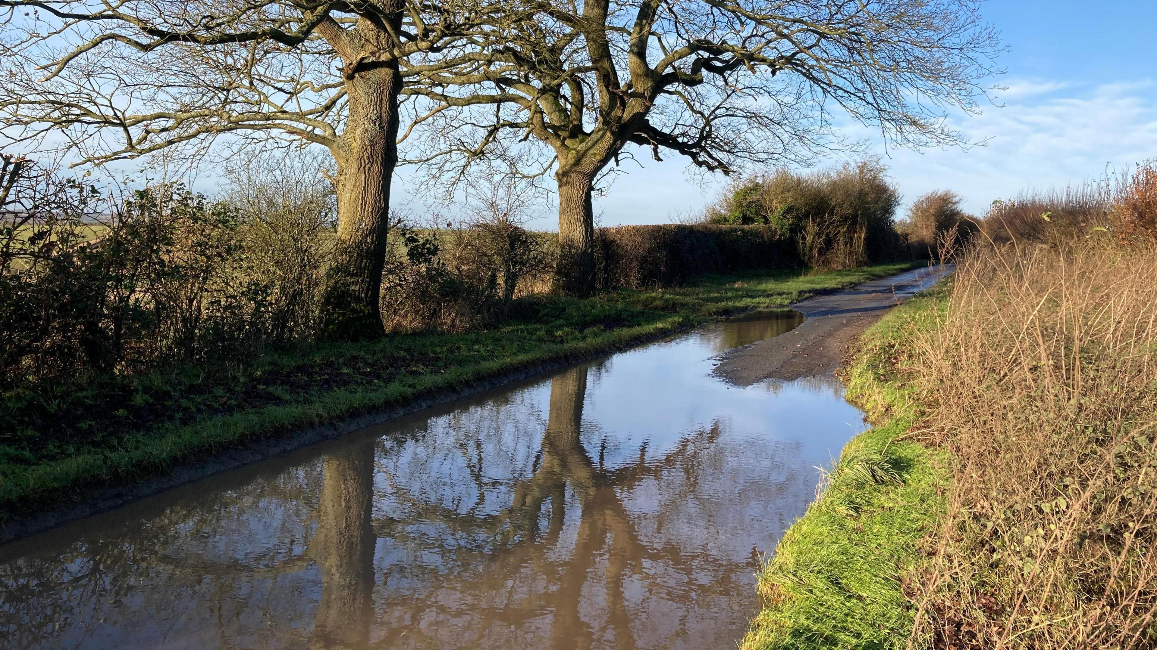 A country road that is partially flooded. There are hedges on either side. Two trees with bare branches stand on the far side of the road and they are reflected in the water. The sky over head is blue.