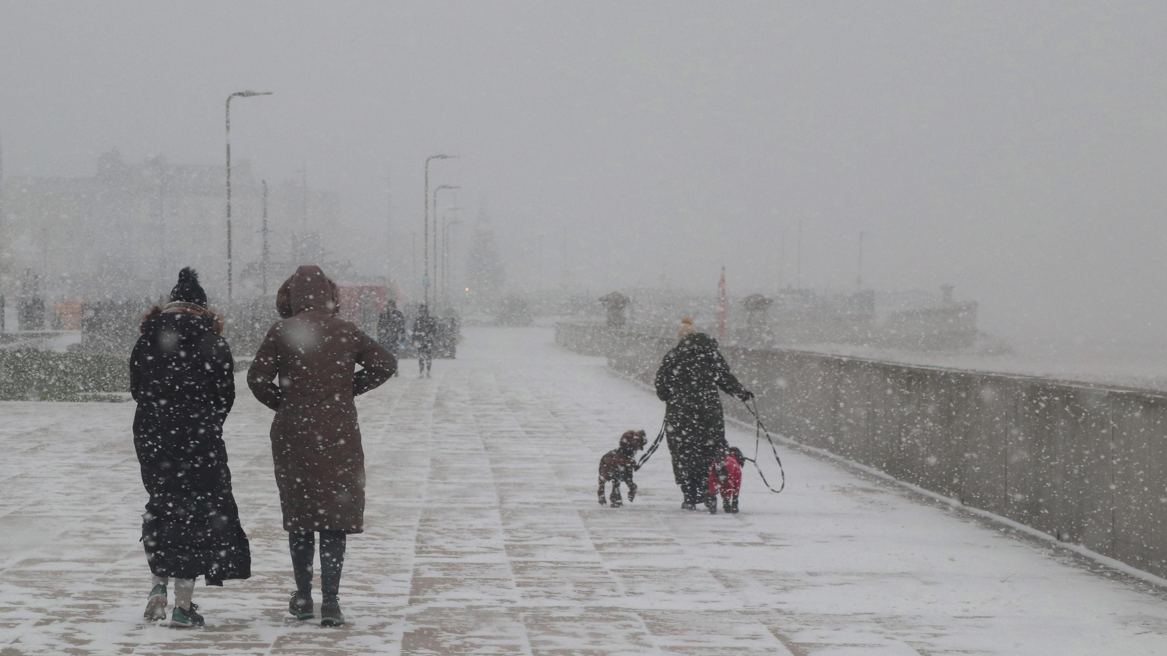 Two heavily-coated ladies, and a woman with two dogs walk along the promenade in heavy snowfall