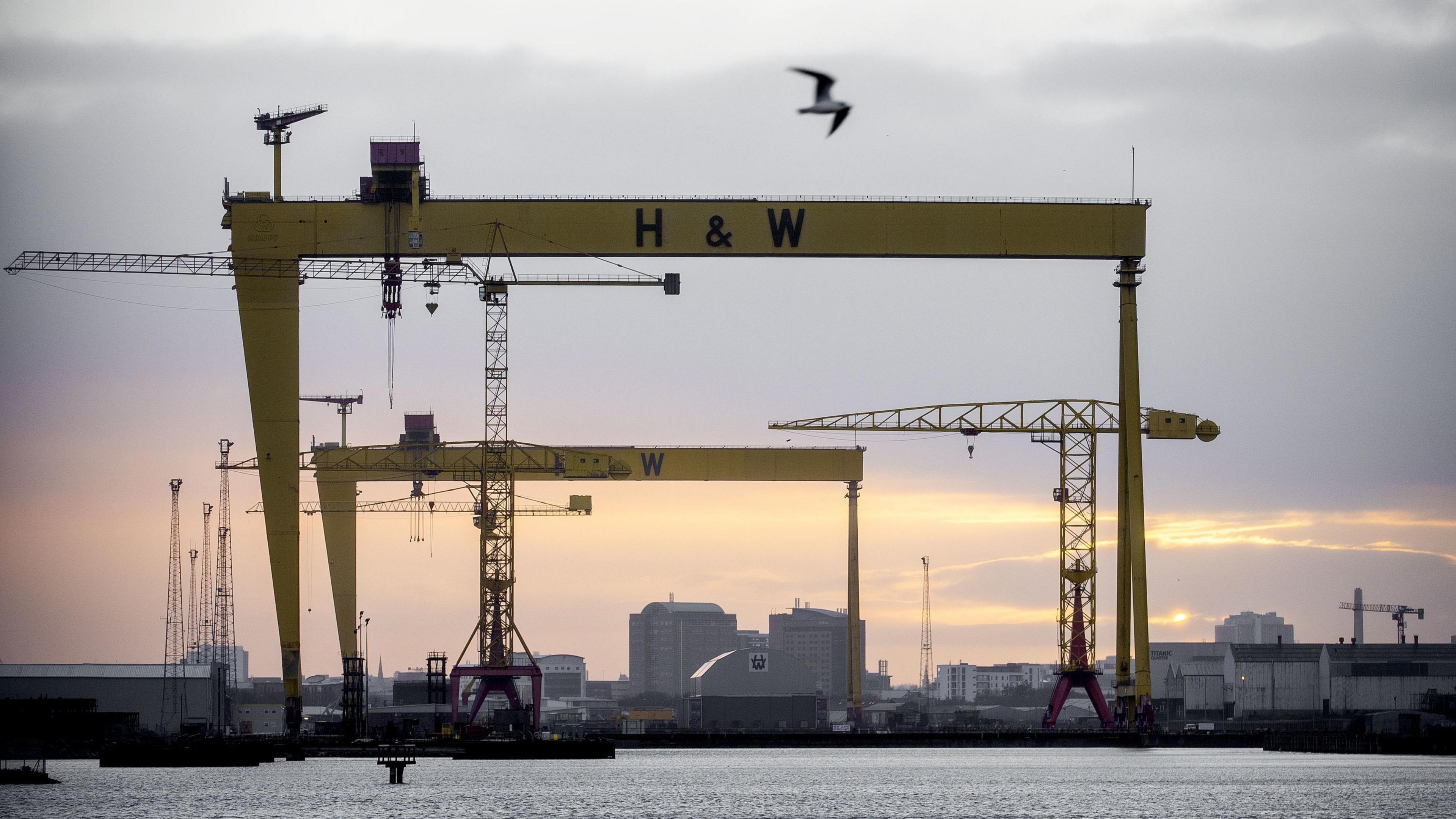 Yellow cranes with H & W on them in a shipyard by water 